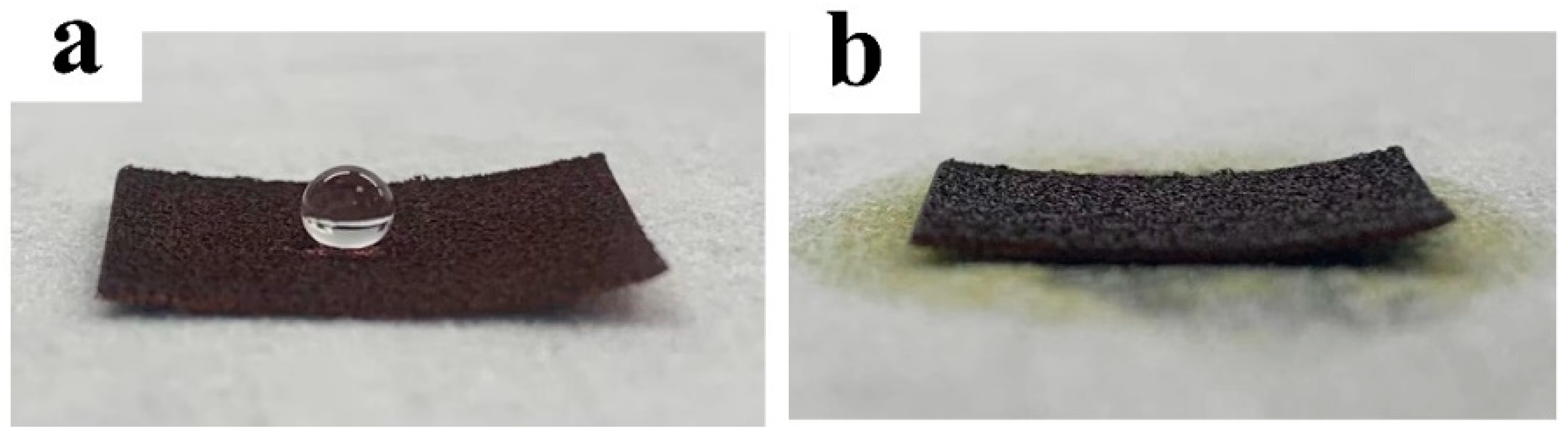 Nanomaterials 13 00736 g007