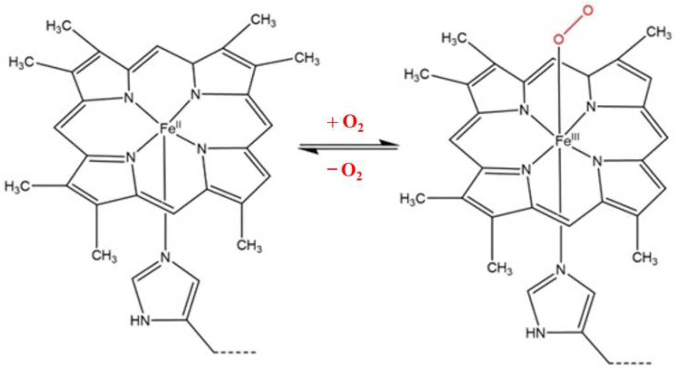 Nanomaterials 13 00745 g001