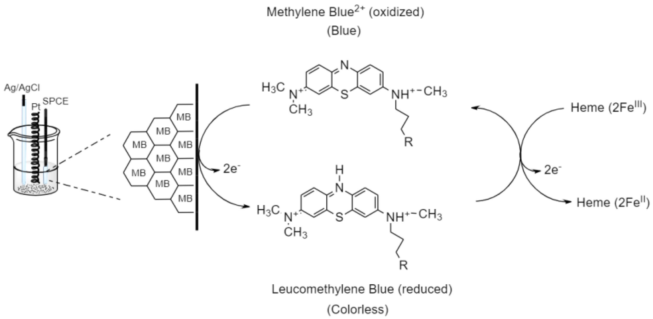 Nanomaterials 13 00745 g012