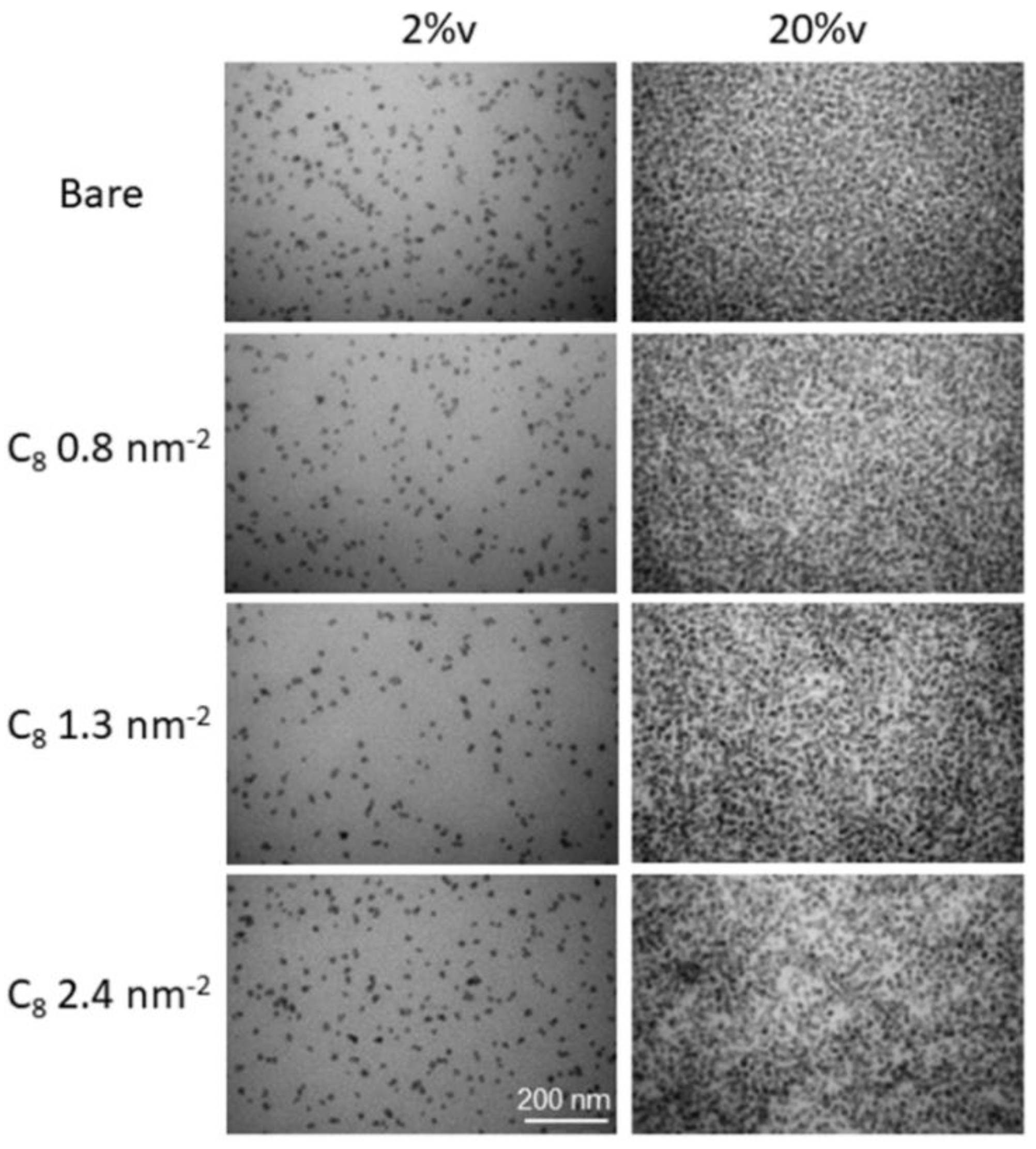 Nanomaterials 13 00748 g001
