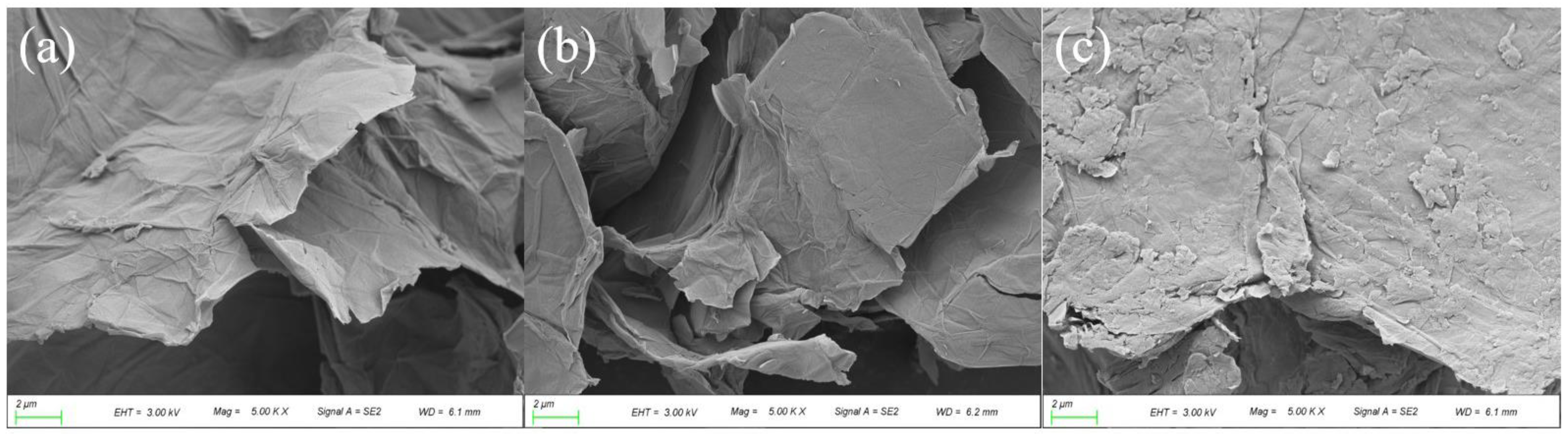 Nanomaterials 13 00751 g002