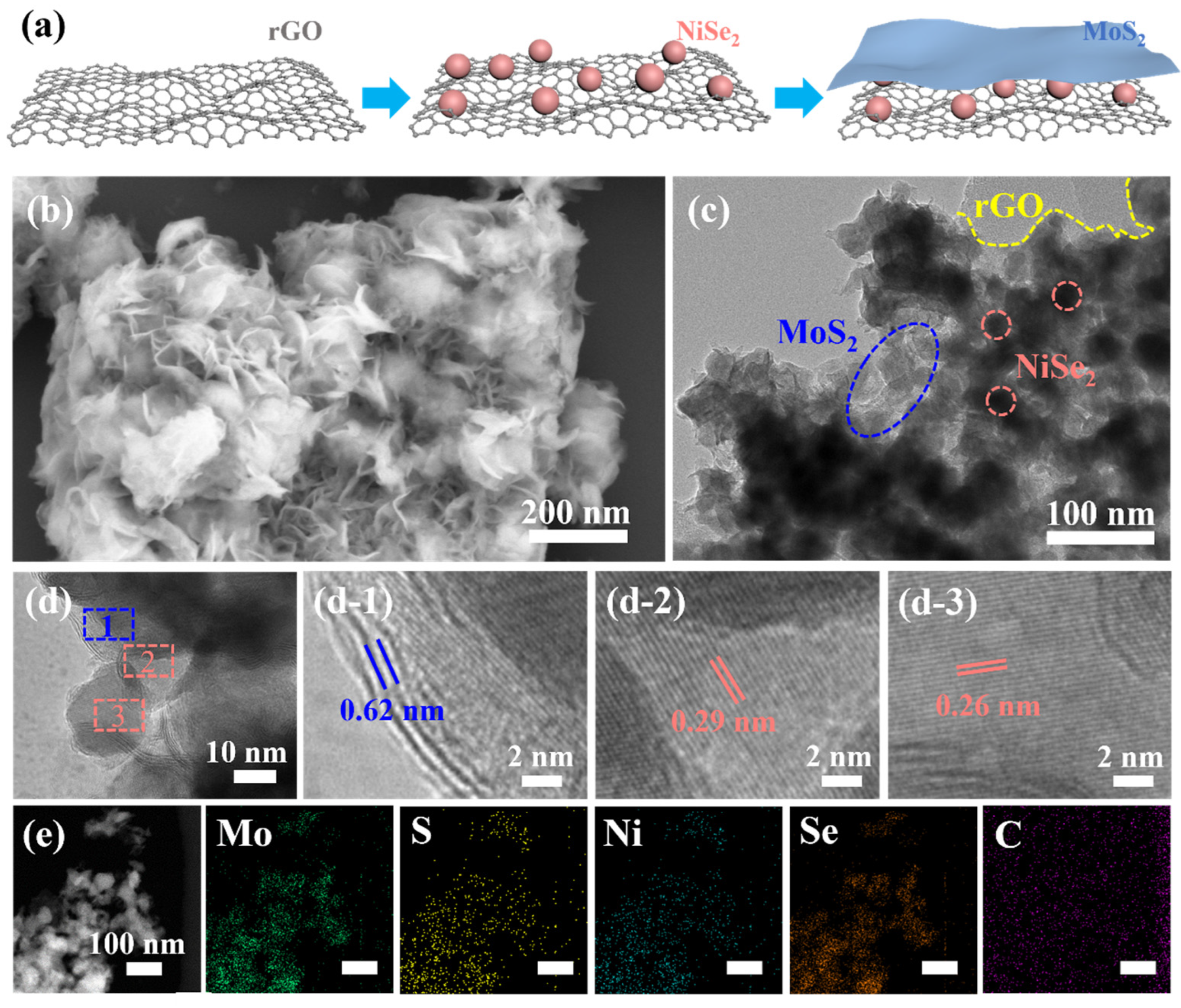 Nanomaterials 13 00752 g001