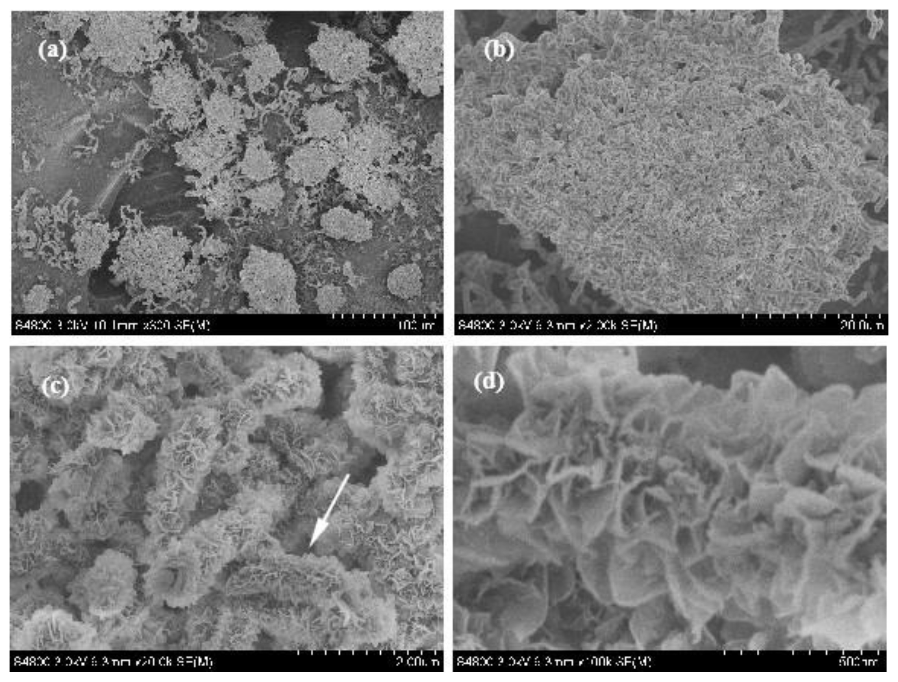 Nanomaterials 13 00753 g004 Nanomaterials 13 00753 g004