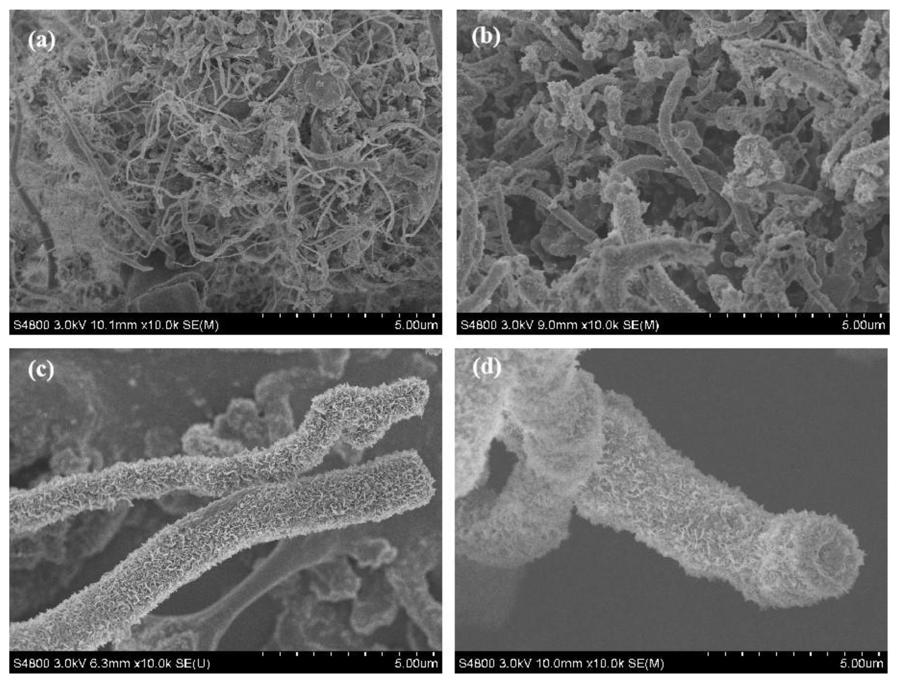 Nanomaterials 13 00753 g006 Nanomaterials 13 00753 g006
