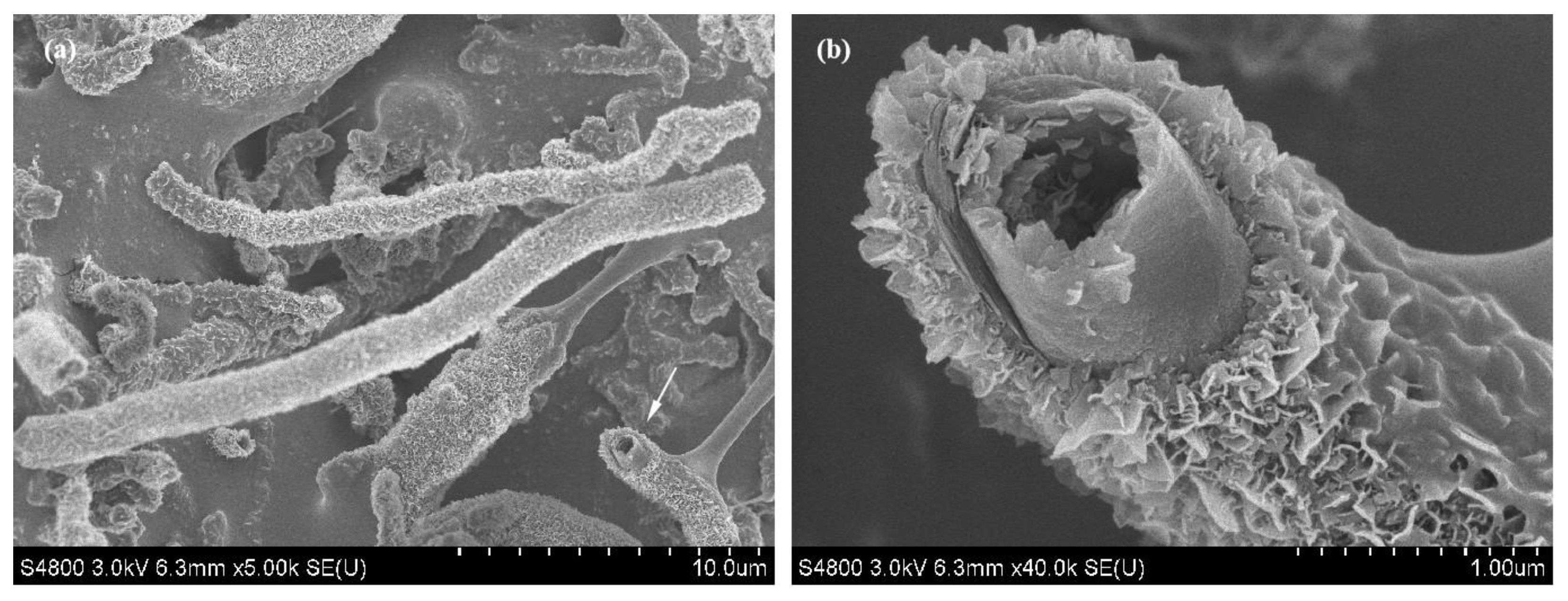 Nanomaterials 13 00753 g008 Nanomaterials 13 00753 g008