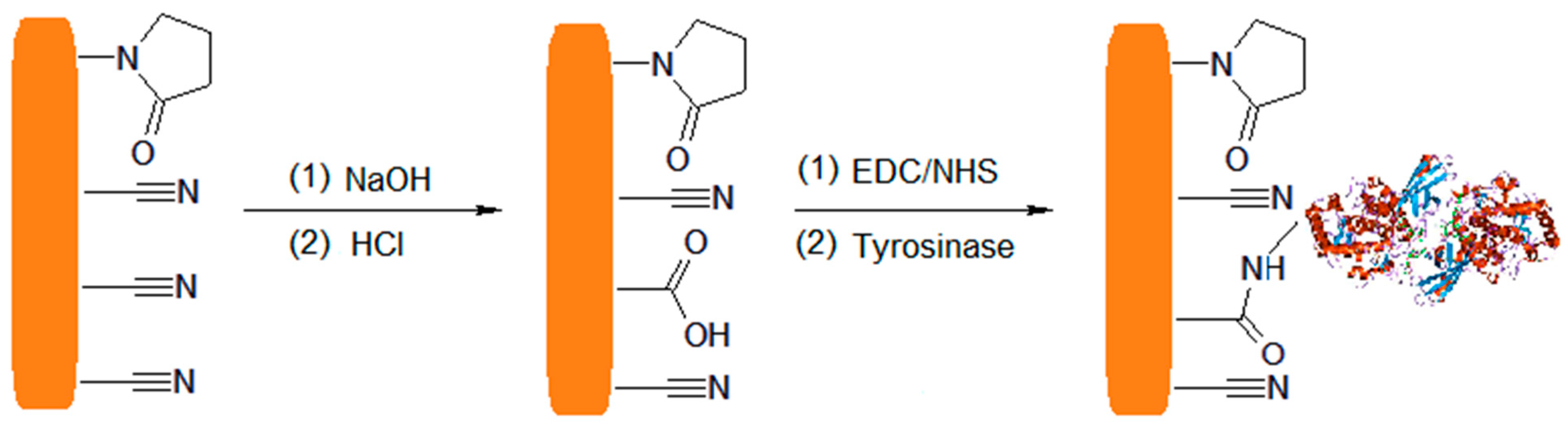 Nanomaterials 13 00760 g006