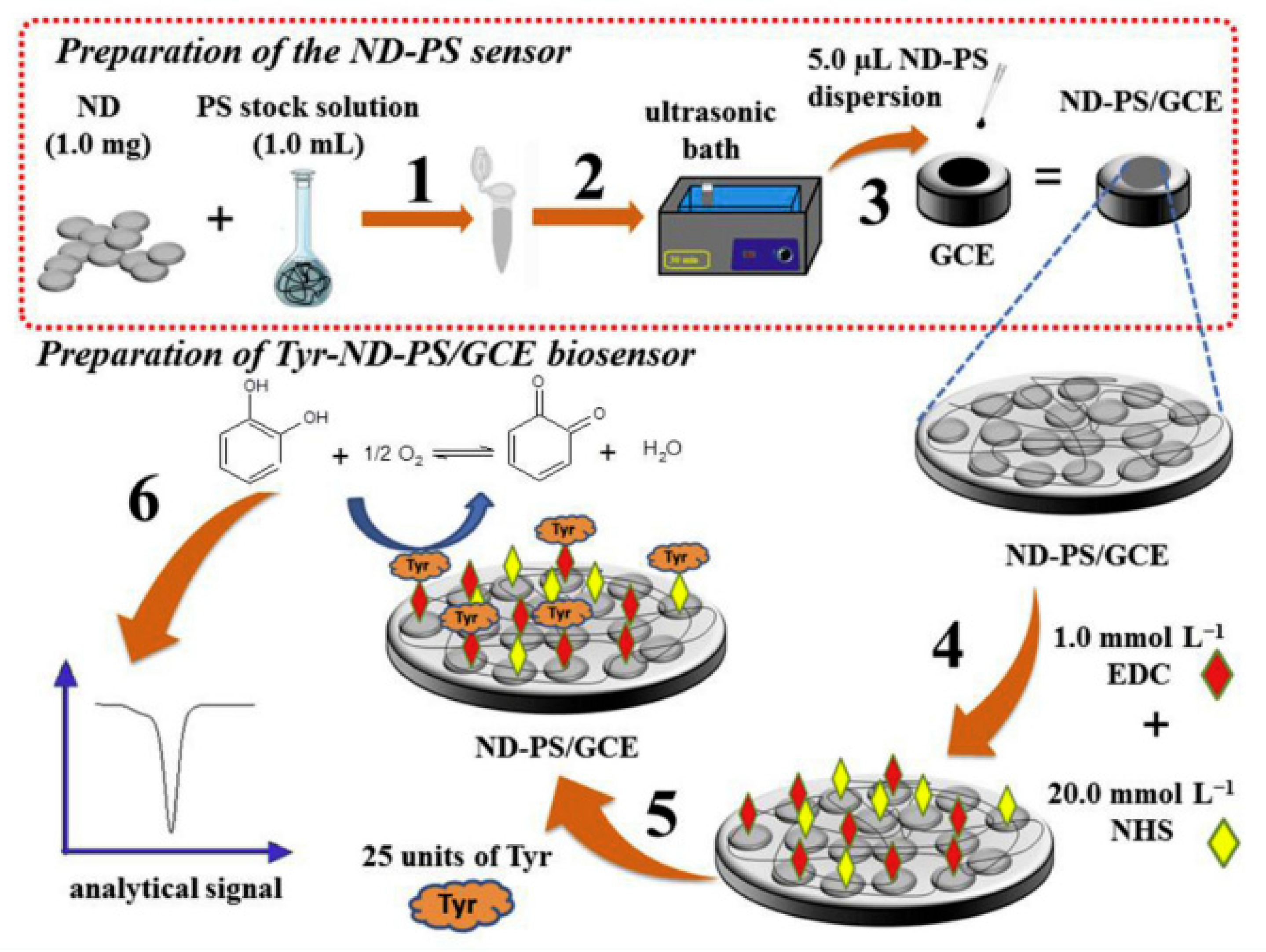 Nanomaterials 13 00760 g007