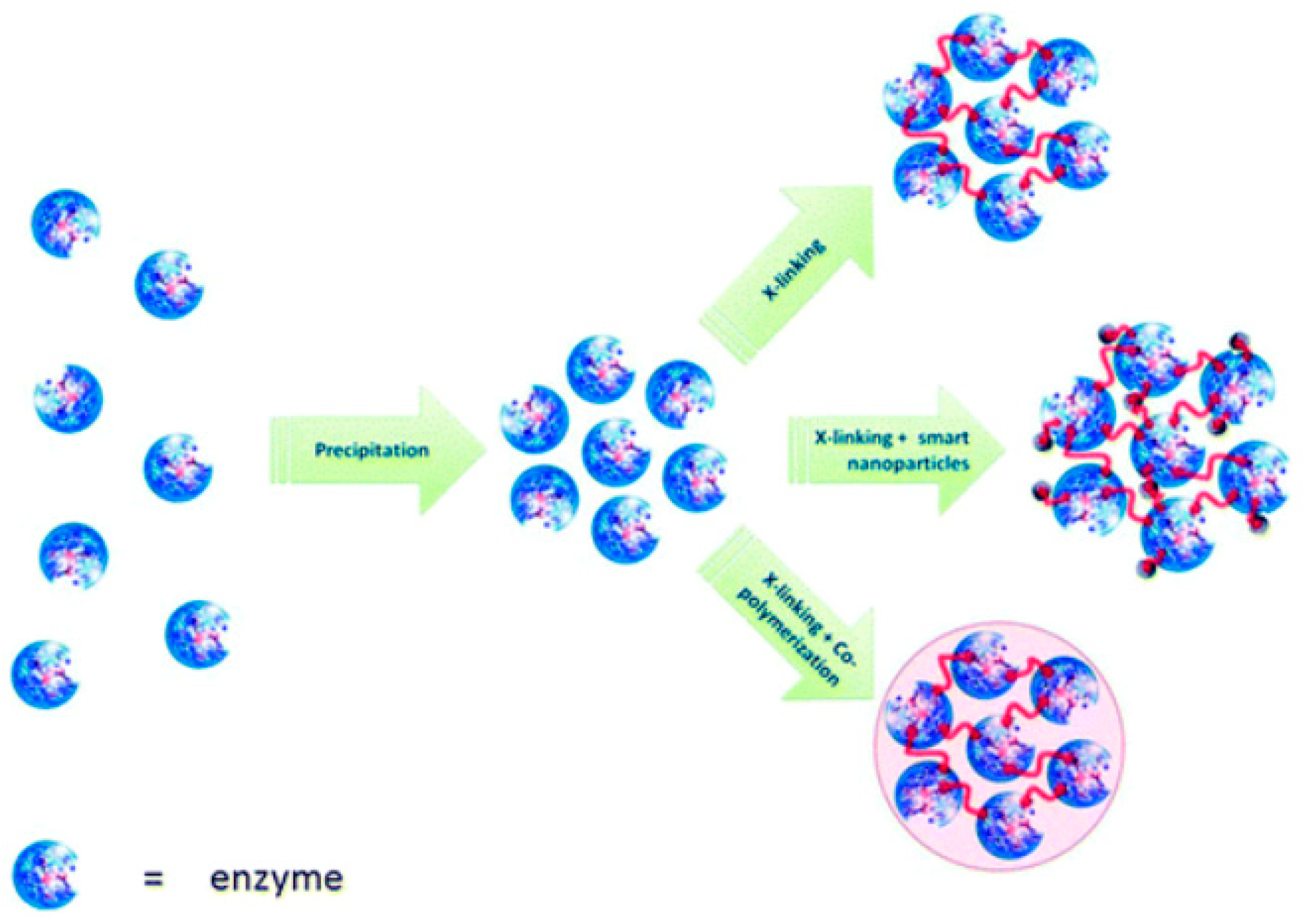 Nanomaterials 13 00760 g009
