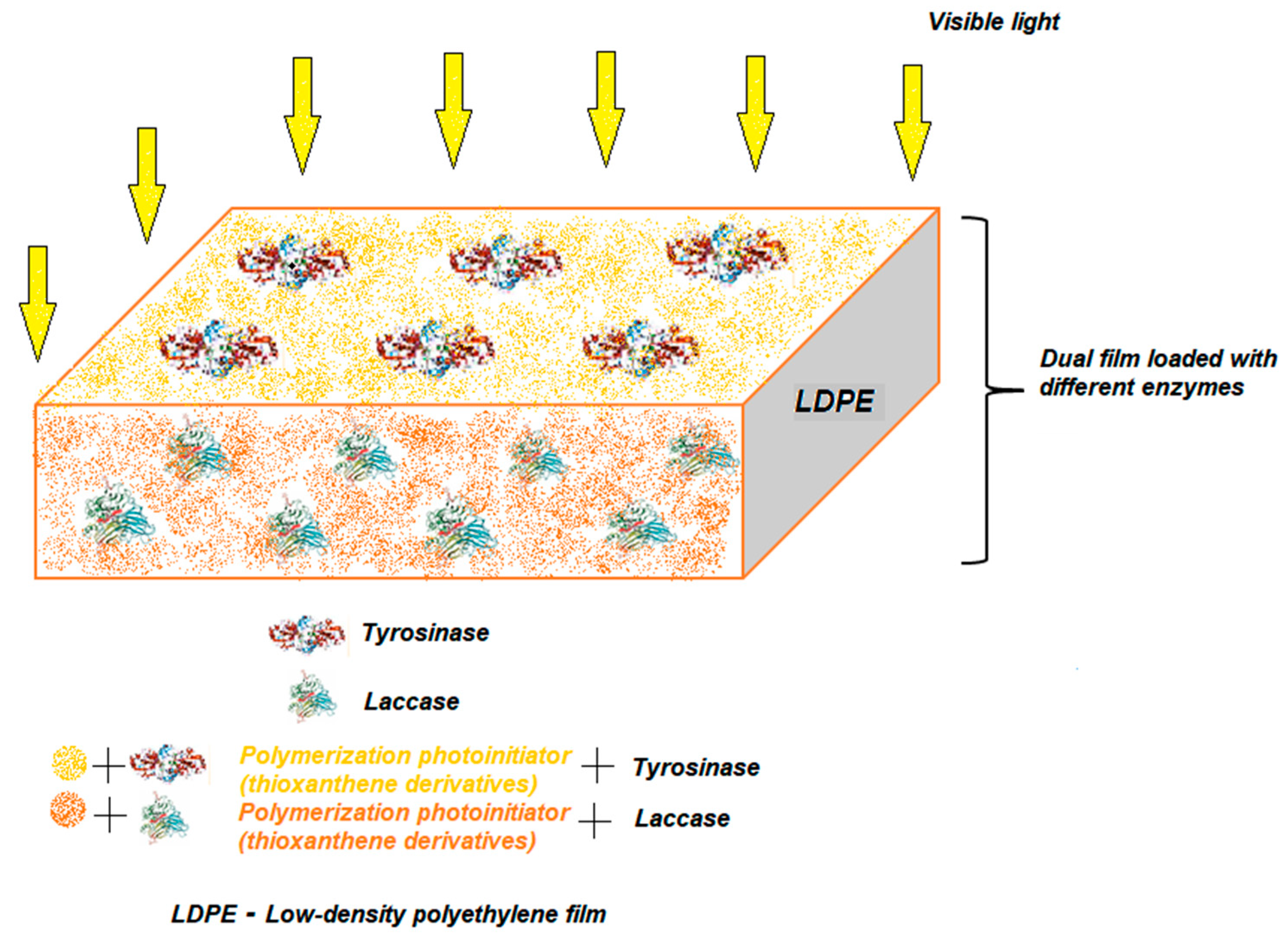 Nanomaterials 13 00760 g012