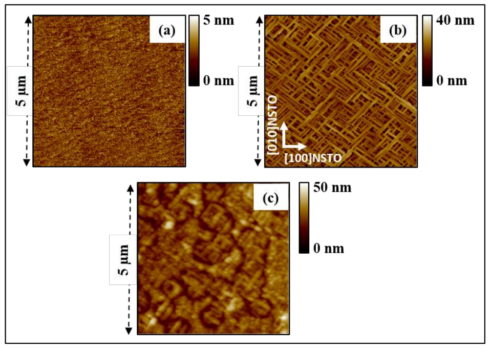 Nanomaterials 13 00761 g001 Nanomaterials 13 00761 g001