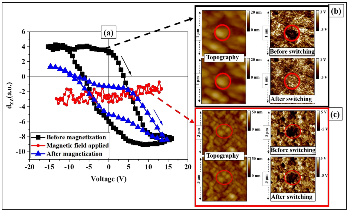 Nanomaterials 13 00761 g006 Nanomaterials 13 00761 g006