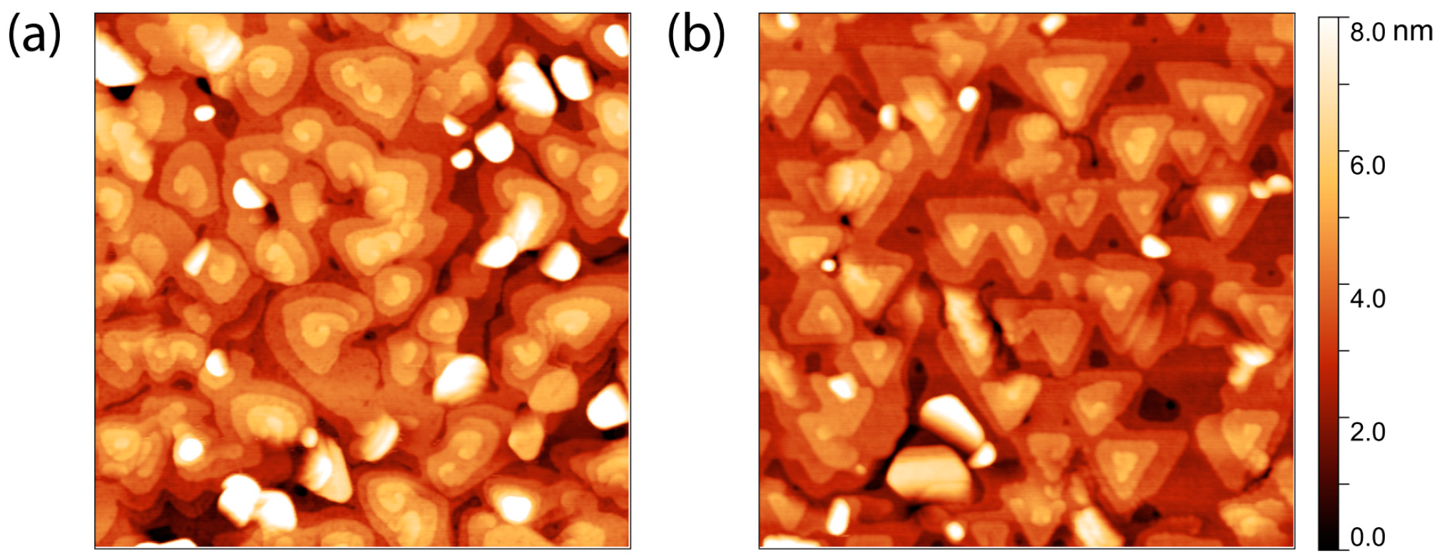 Nanomaterials 13 00763 g001 Nanomaterials 13 00763 g001