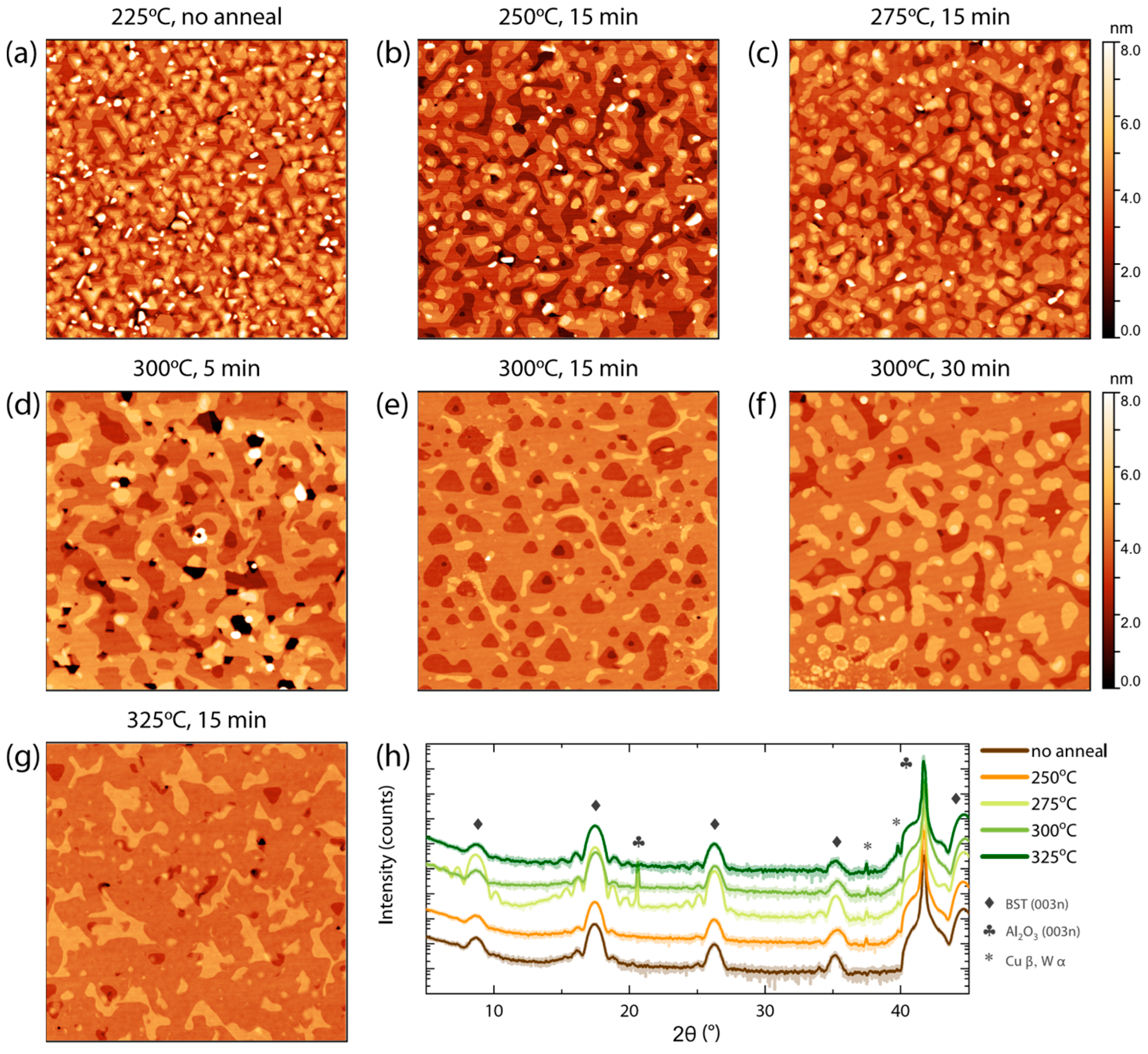 Nanomaterials 13 00763 g003 Nanomaterials 13 00763 g003