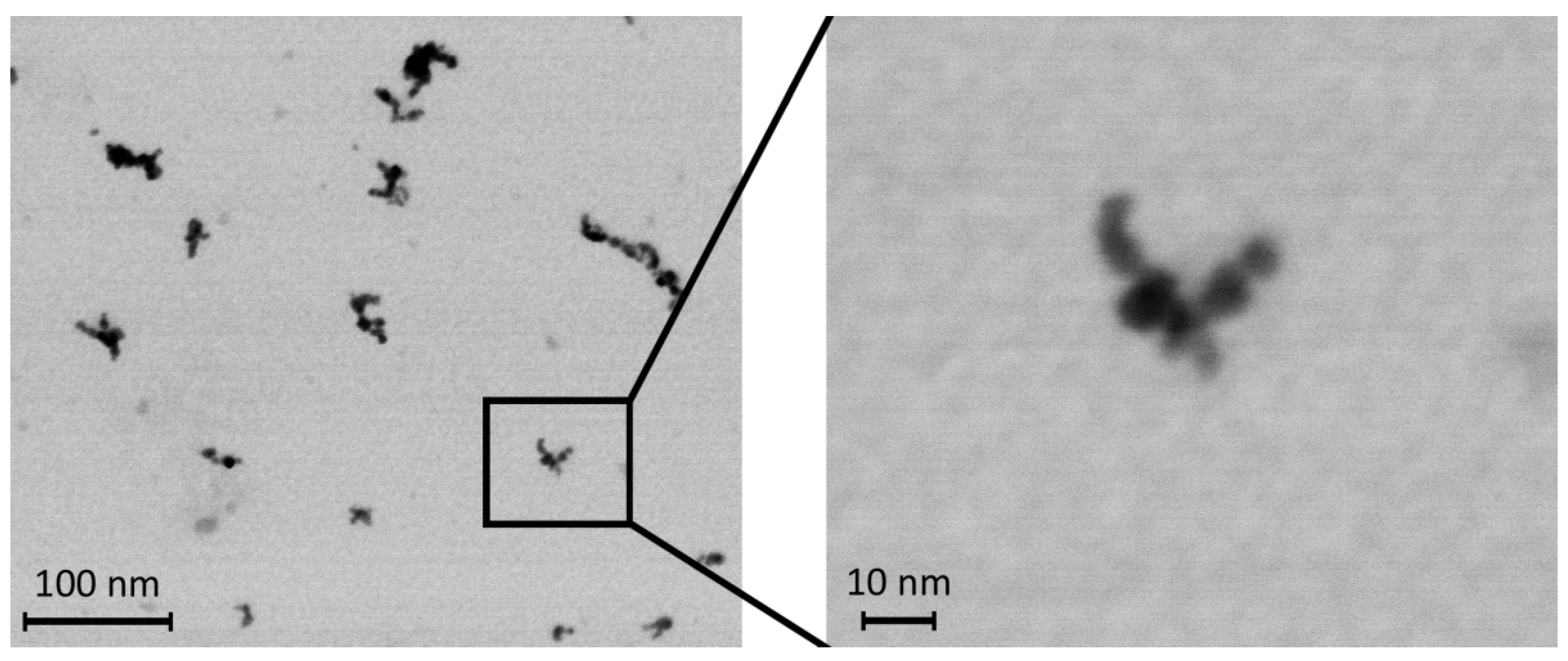 Nanomaterials 13 00767 g001