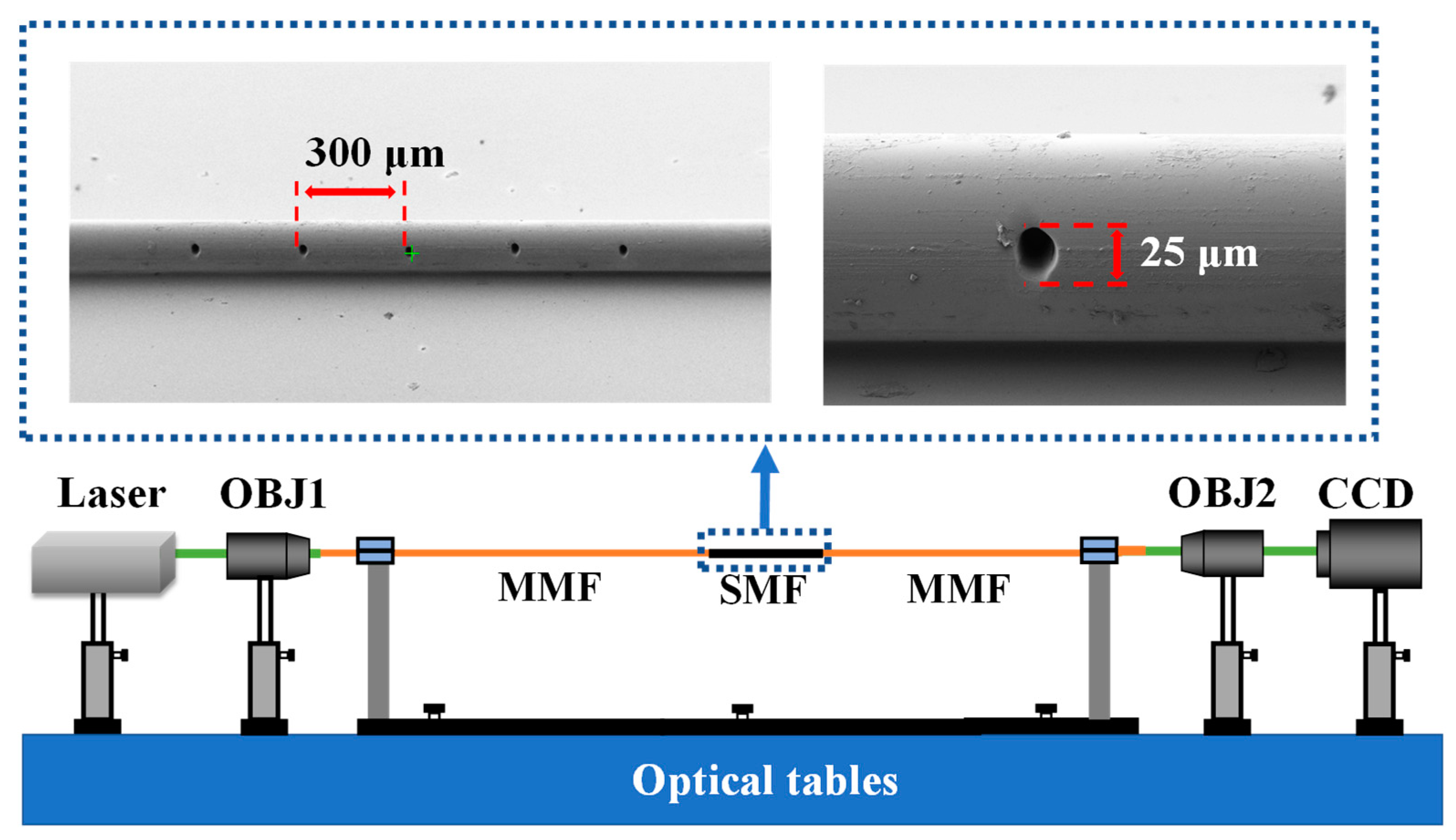 Nanomaterials 13 00768 g002
