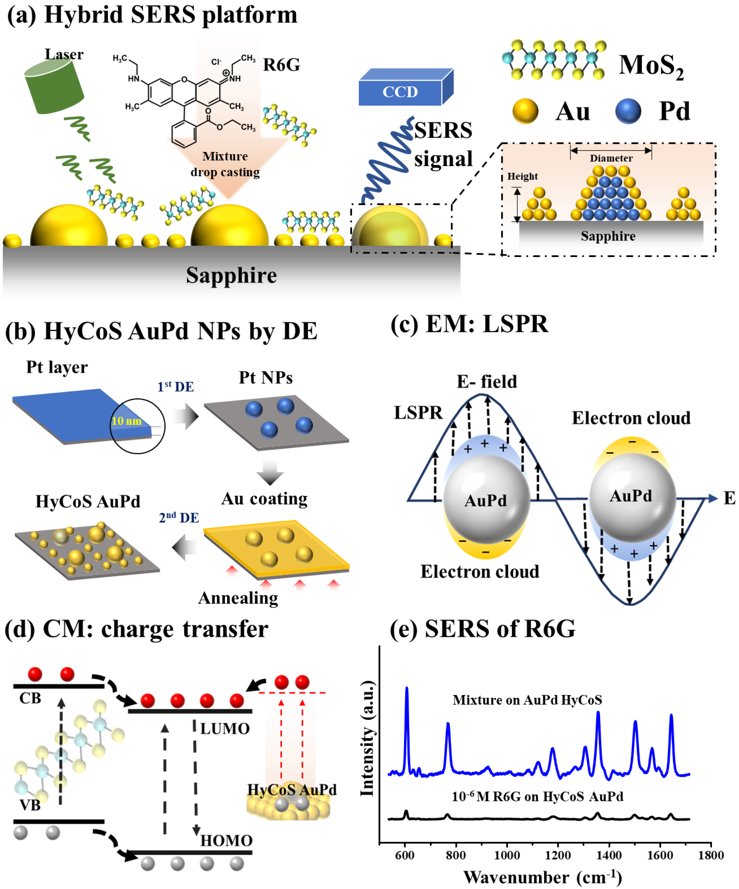 Nanomaterials 13 00769 g001