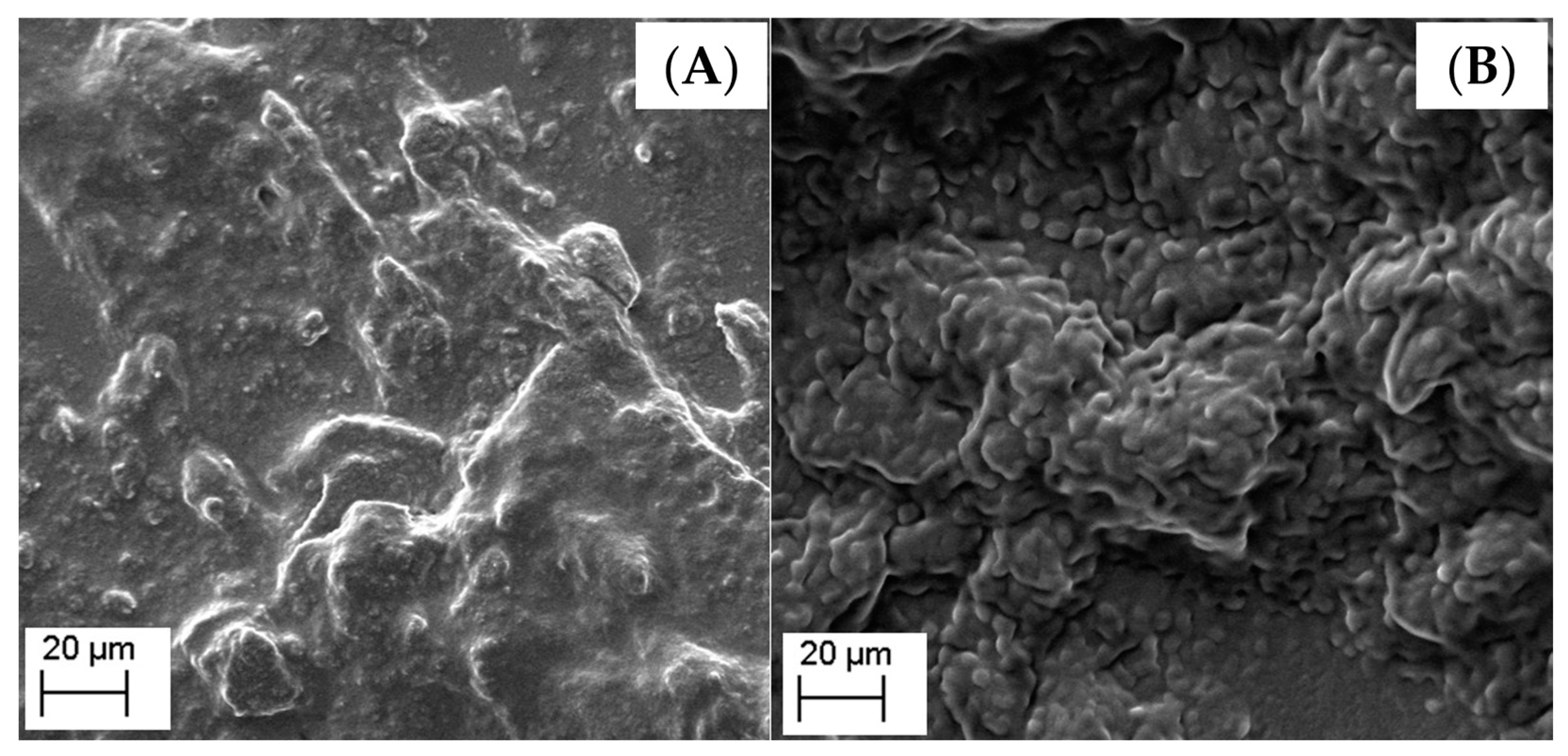 Nanomaterials 13 00770 g002 Nanomaterials 13 00770 g002