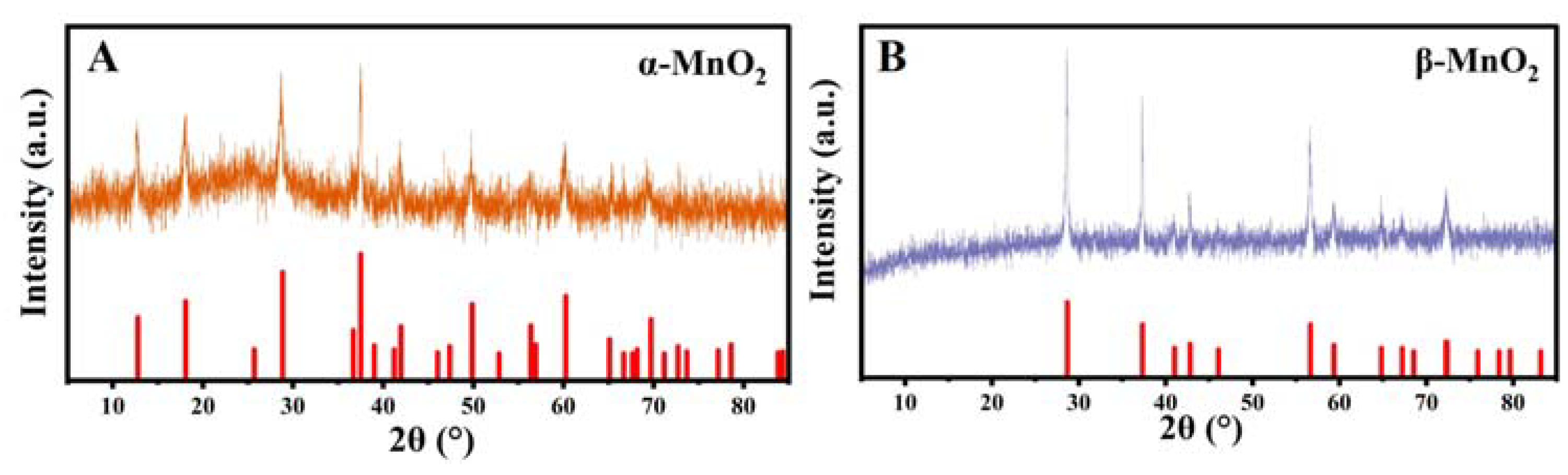 Nanomaterials 13 00775 g001