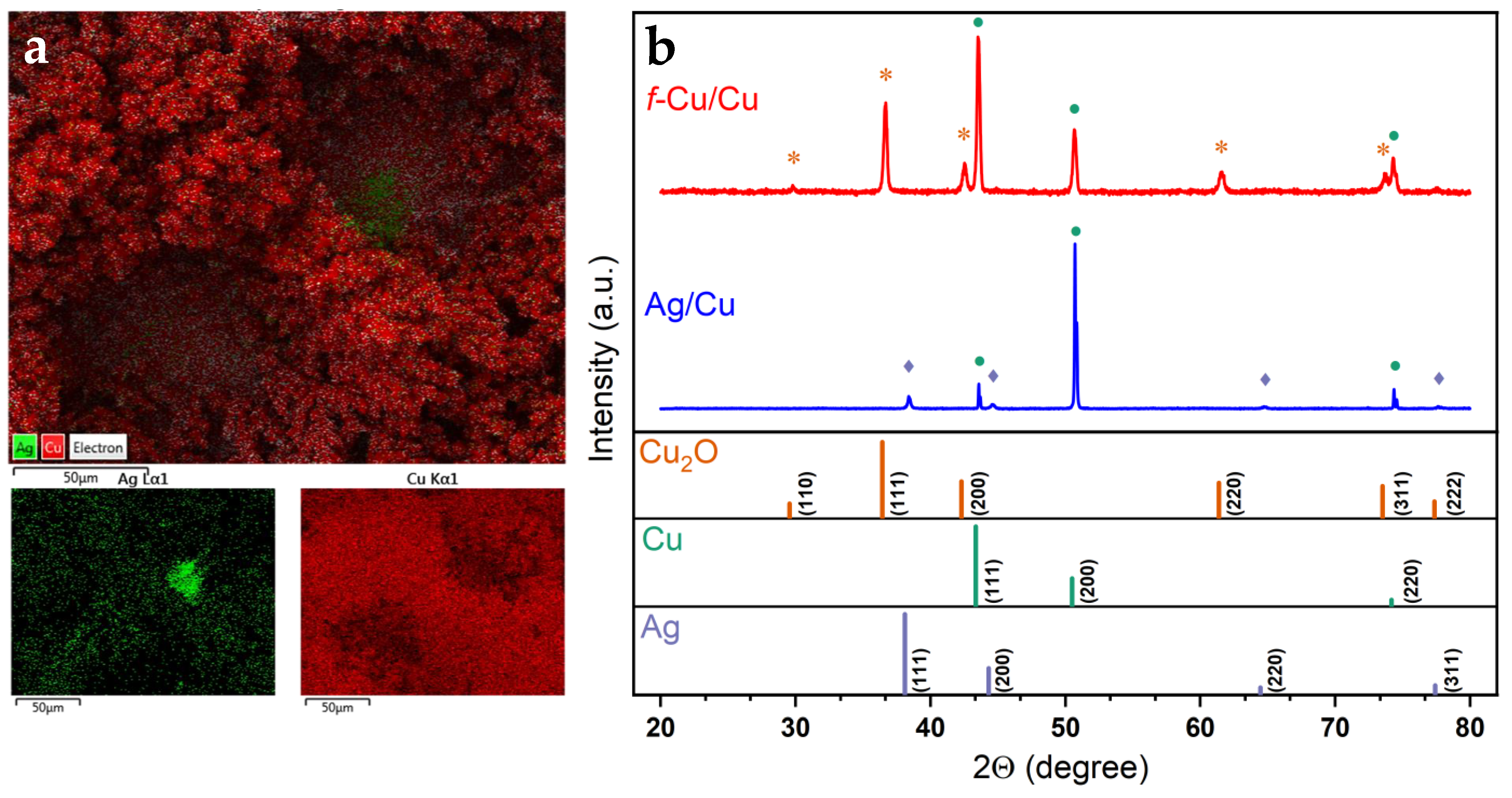 Nanomaterials 13 00778 g002