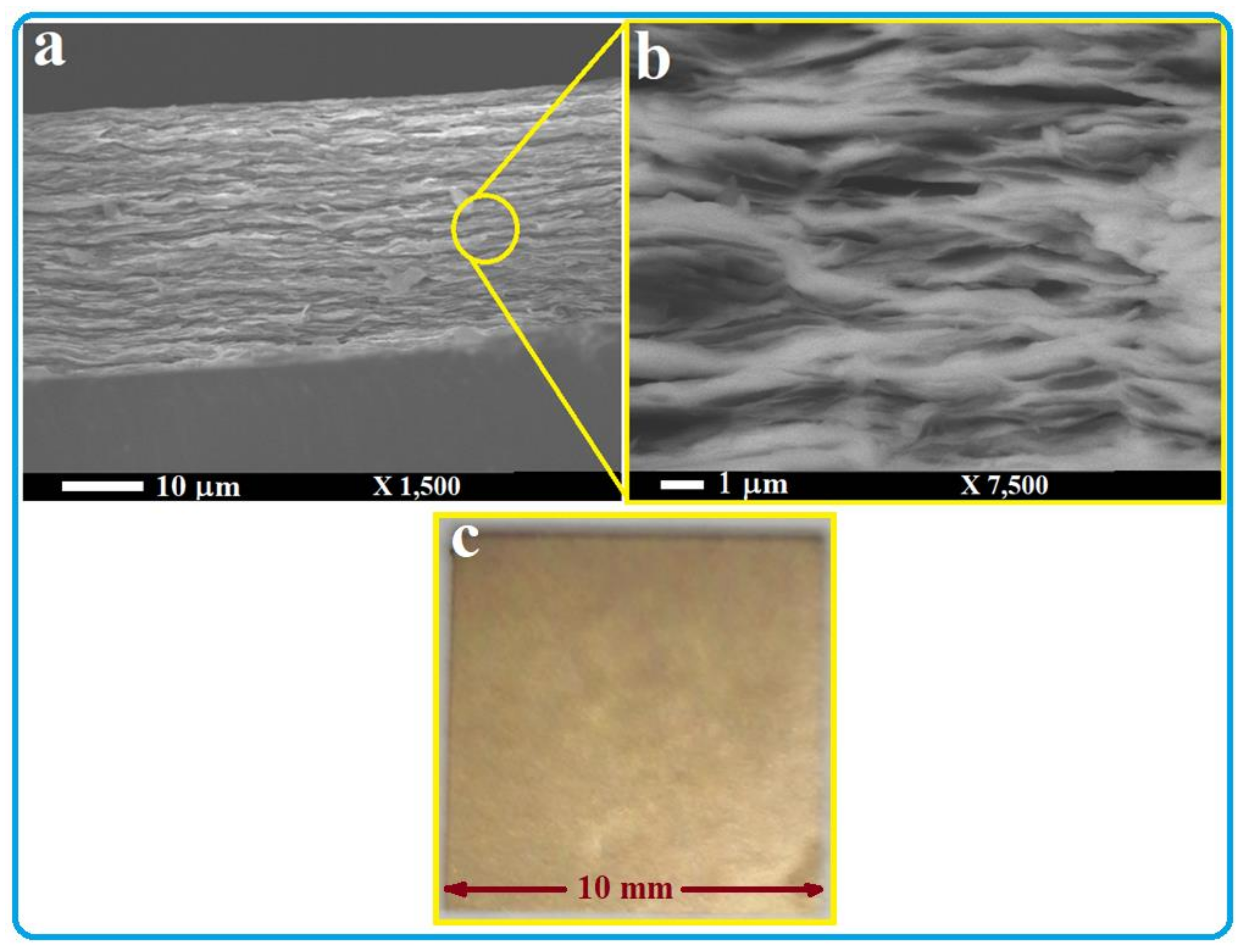 Nanomaterials 13 00781 g001 Nanomaterials 13 00781 g001