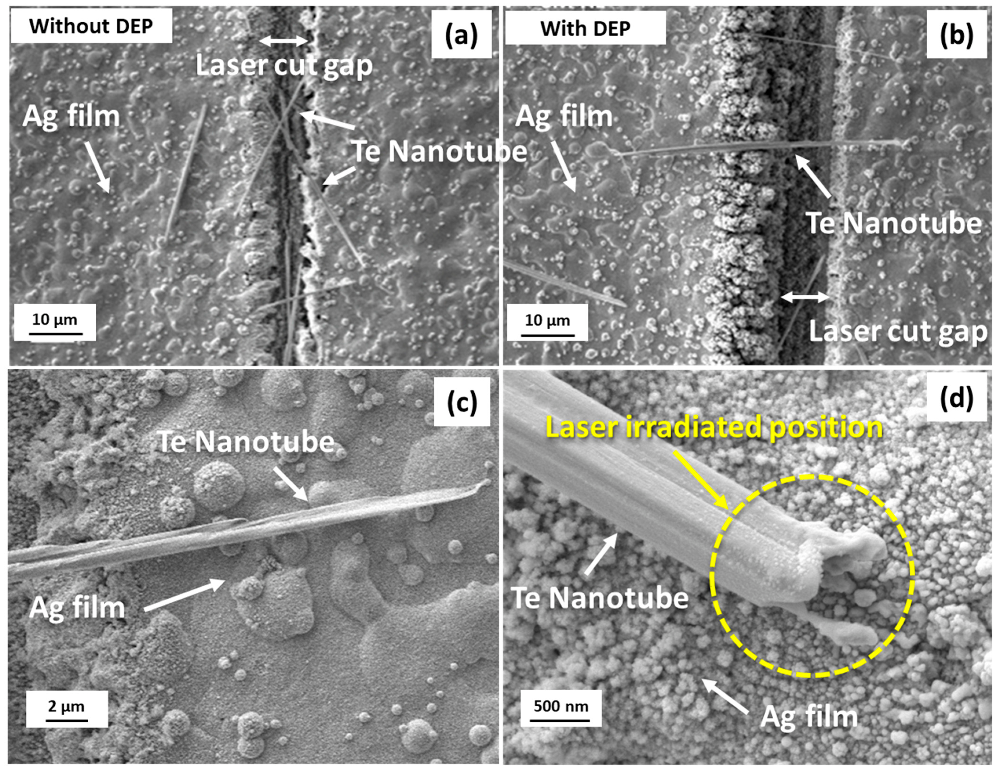 Nanomaterials 13 00789 g001 Nanomaterials 13 00789 g001