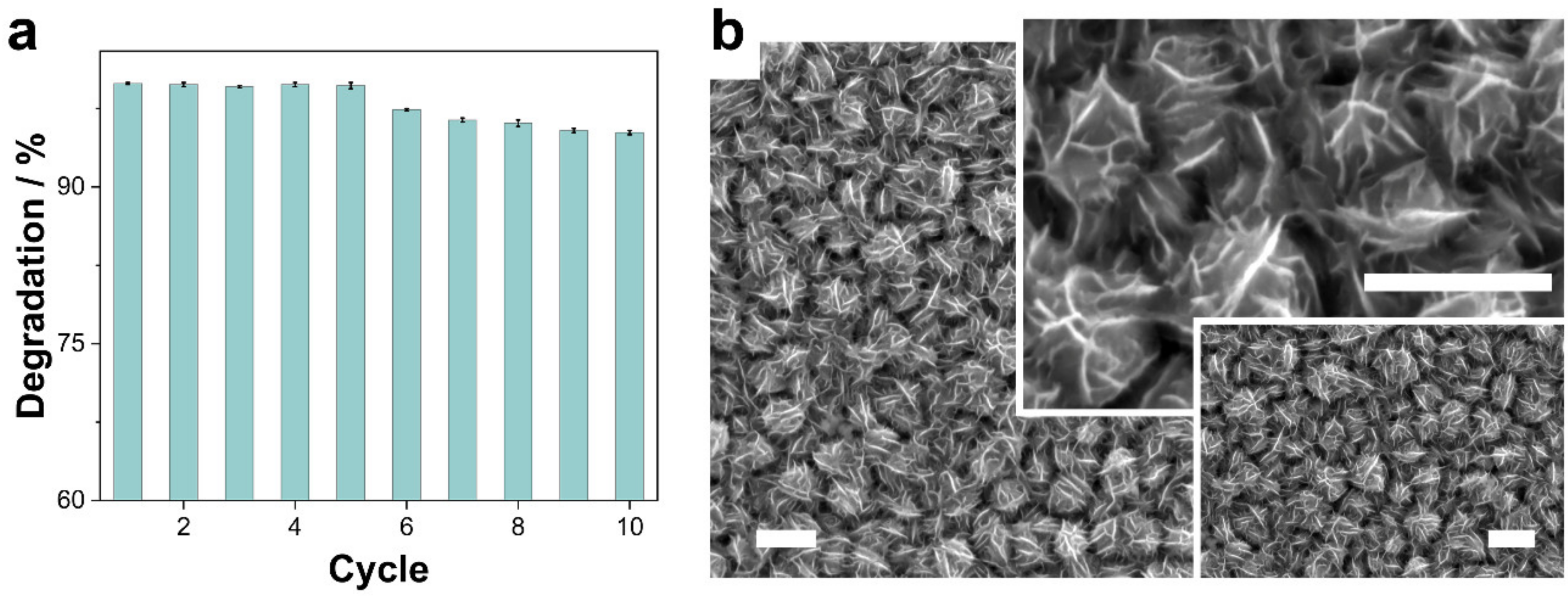 Nanomaterials 13 00790 g008 Nanomaterials 13 00790 g008