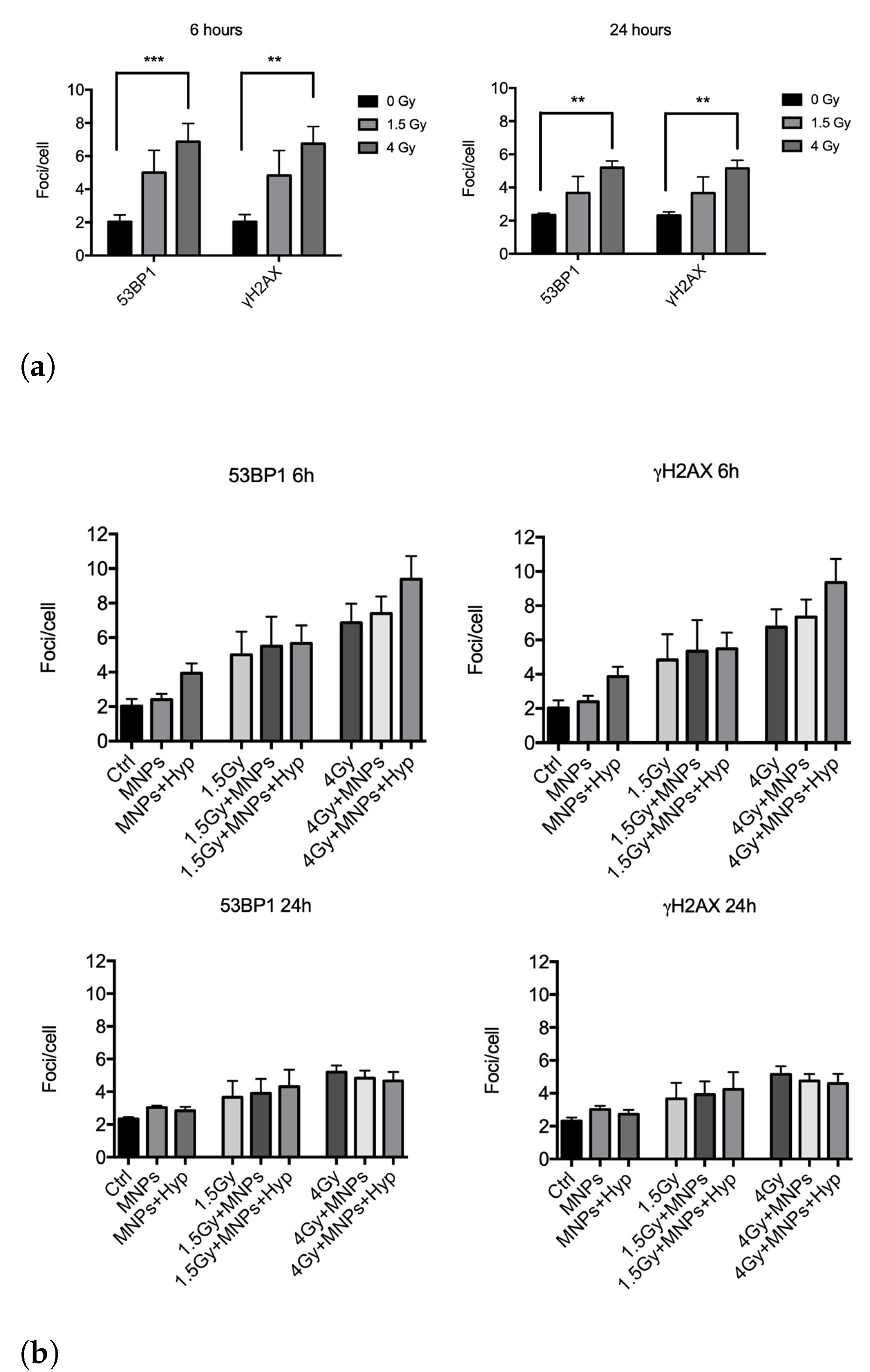 Nanomaterials 13 00791 g004