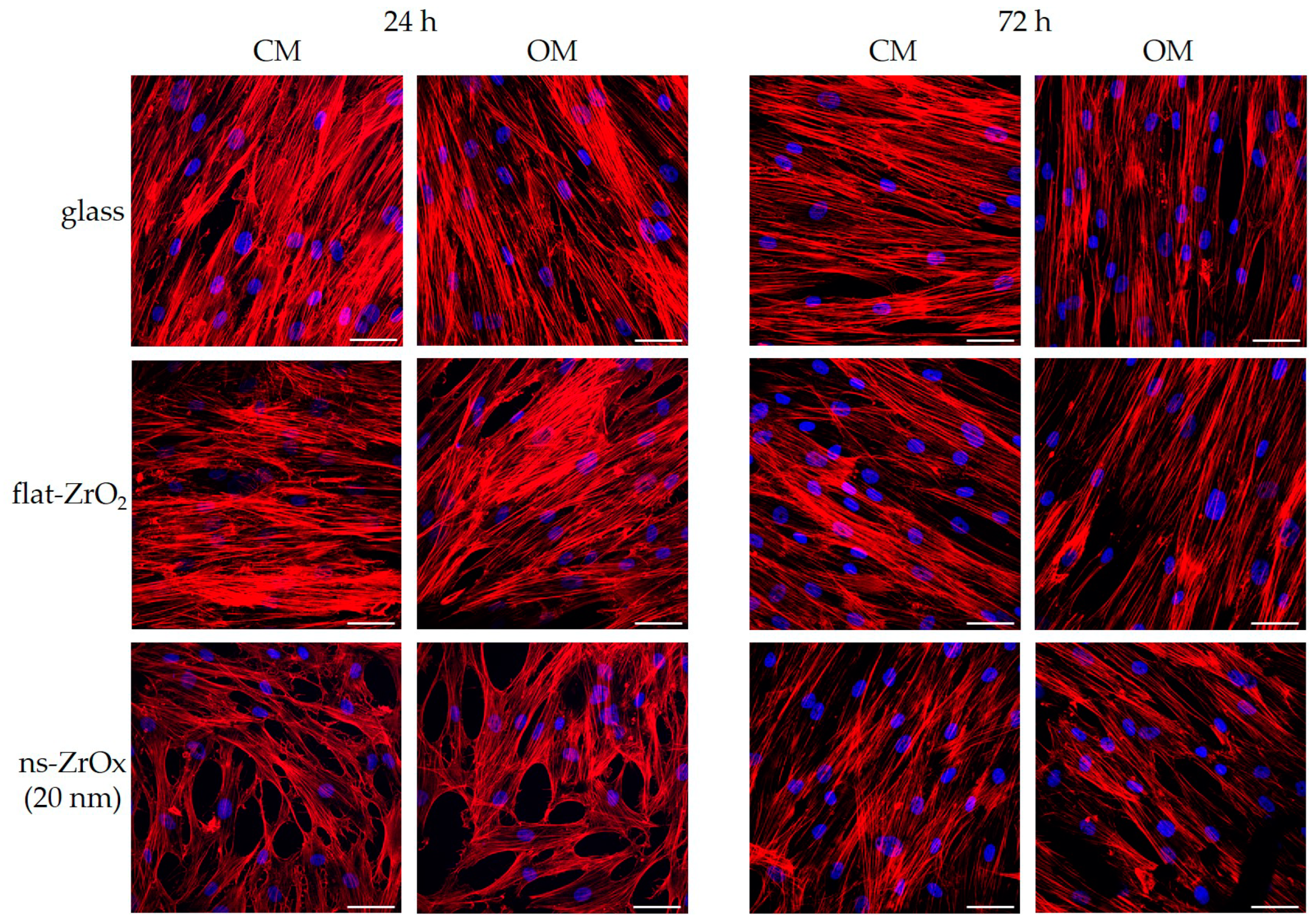 Nanomaterials 13 00801 g005 Nanomaterials 13 00801 g005