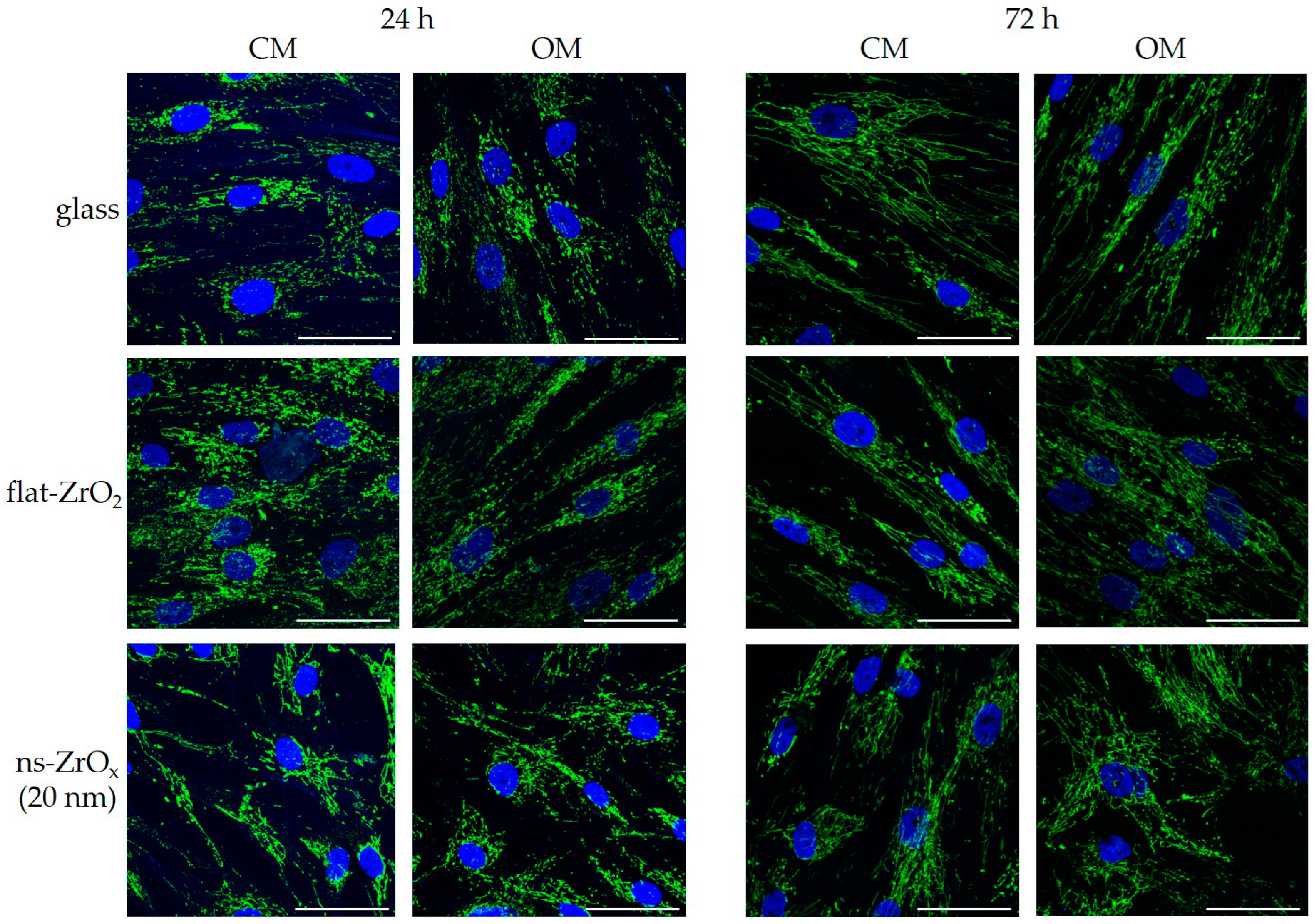 Nanomaterials 13 00801 g007 Nanomaterials 13 00801 g007