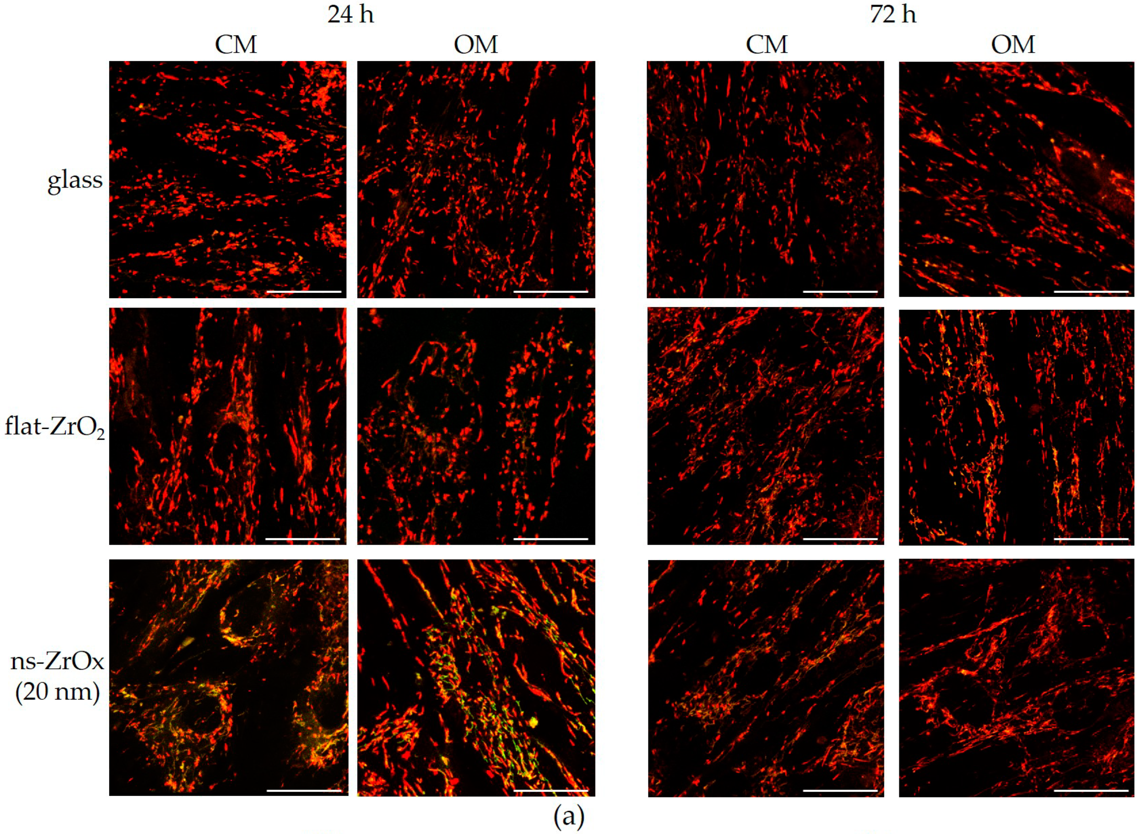 Nanomaterials 13 00801 g008a Nanomaterials 13 00801 g008a