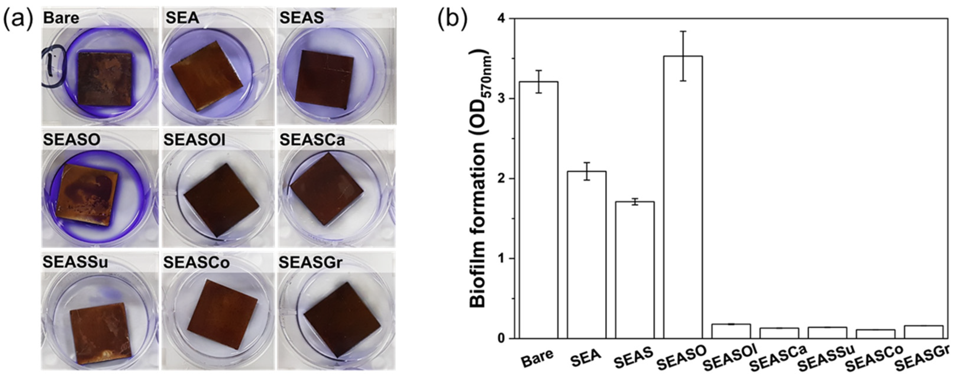 Nanomaterials 13 00807 g005