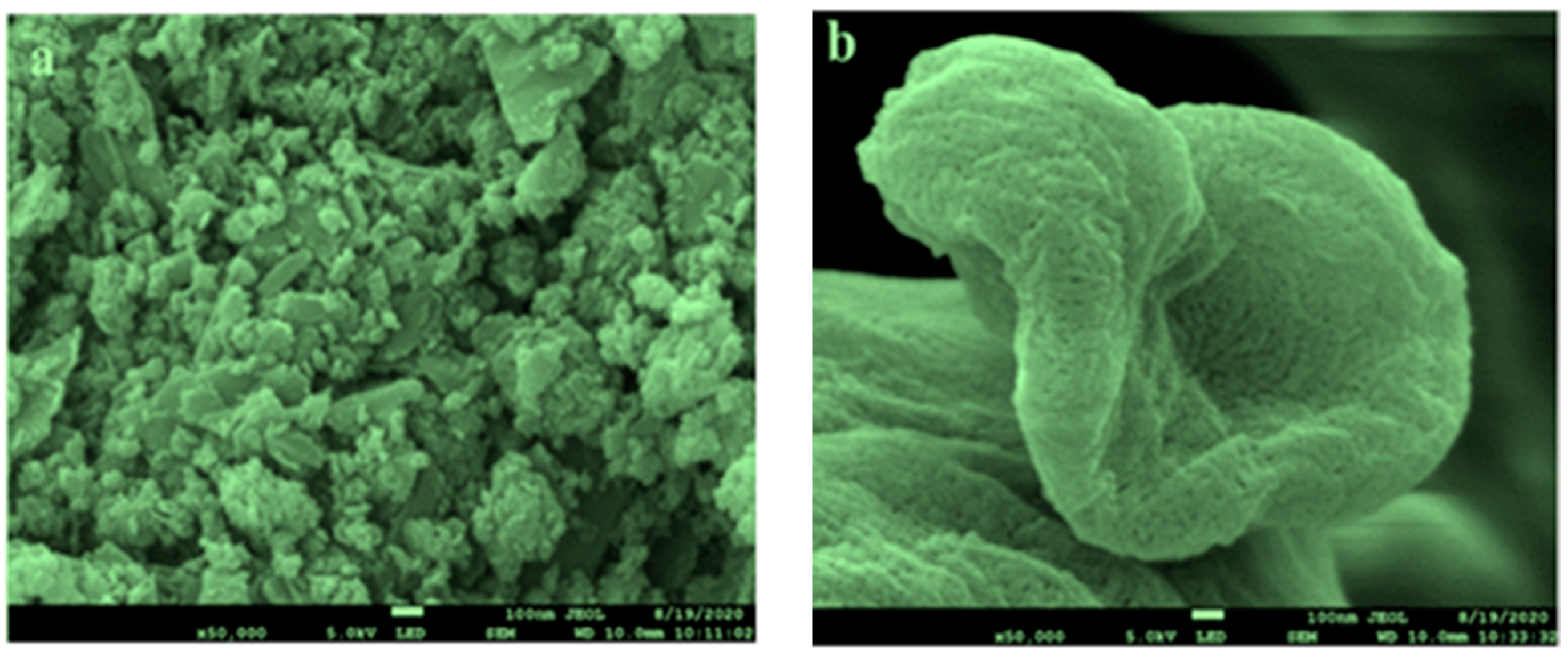 Nanomaterials 13 00808 g002