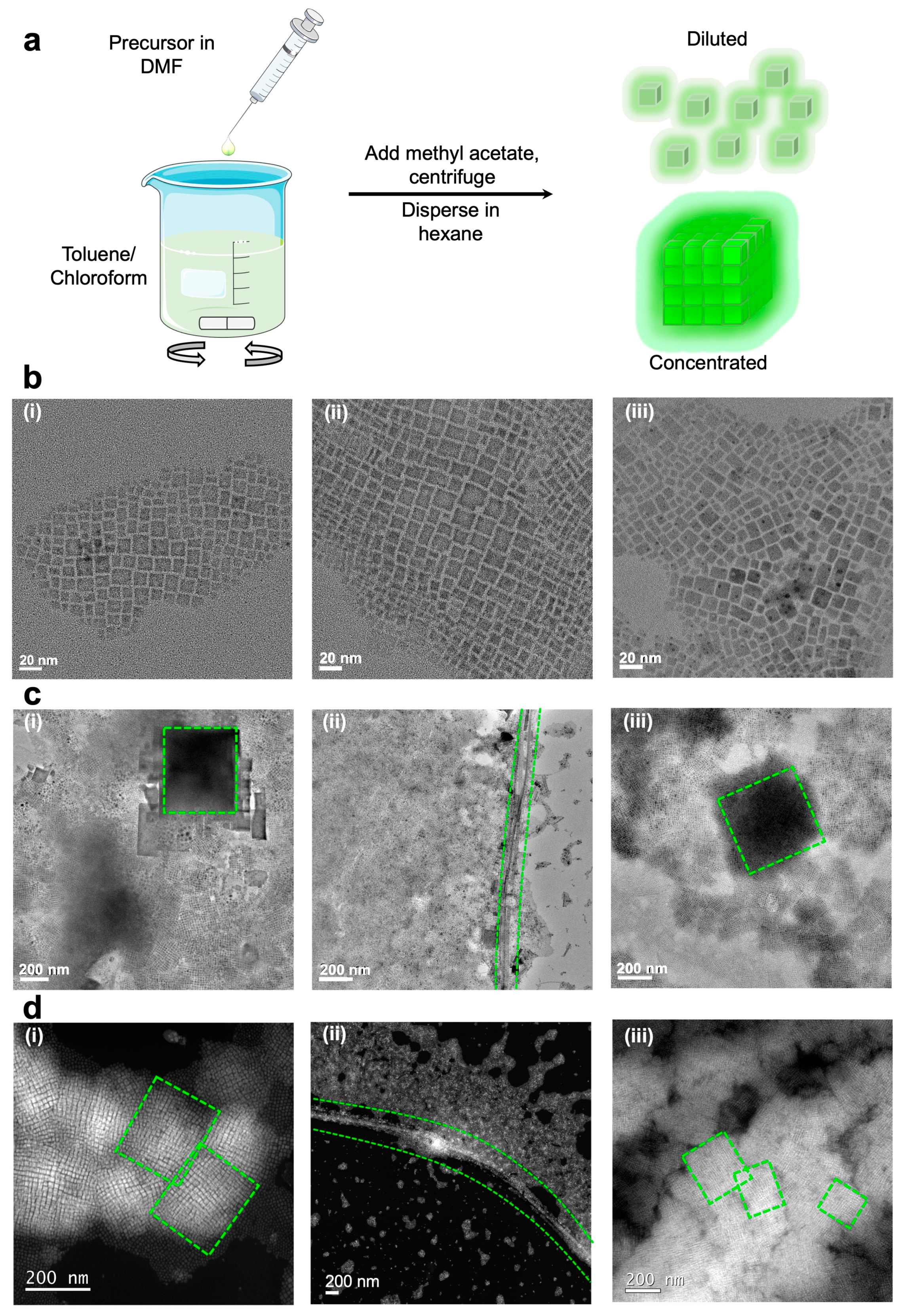 Nanomaterials 13 00815 g001 Nanomaterials 13 00815 g001