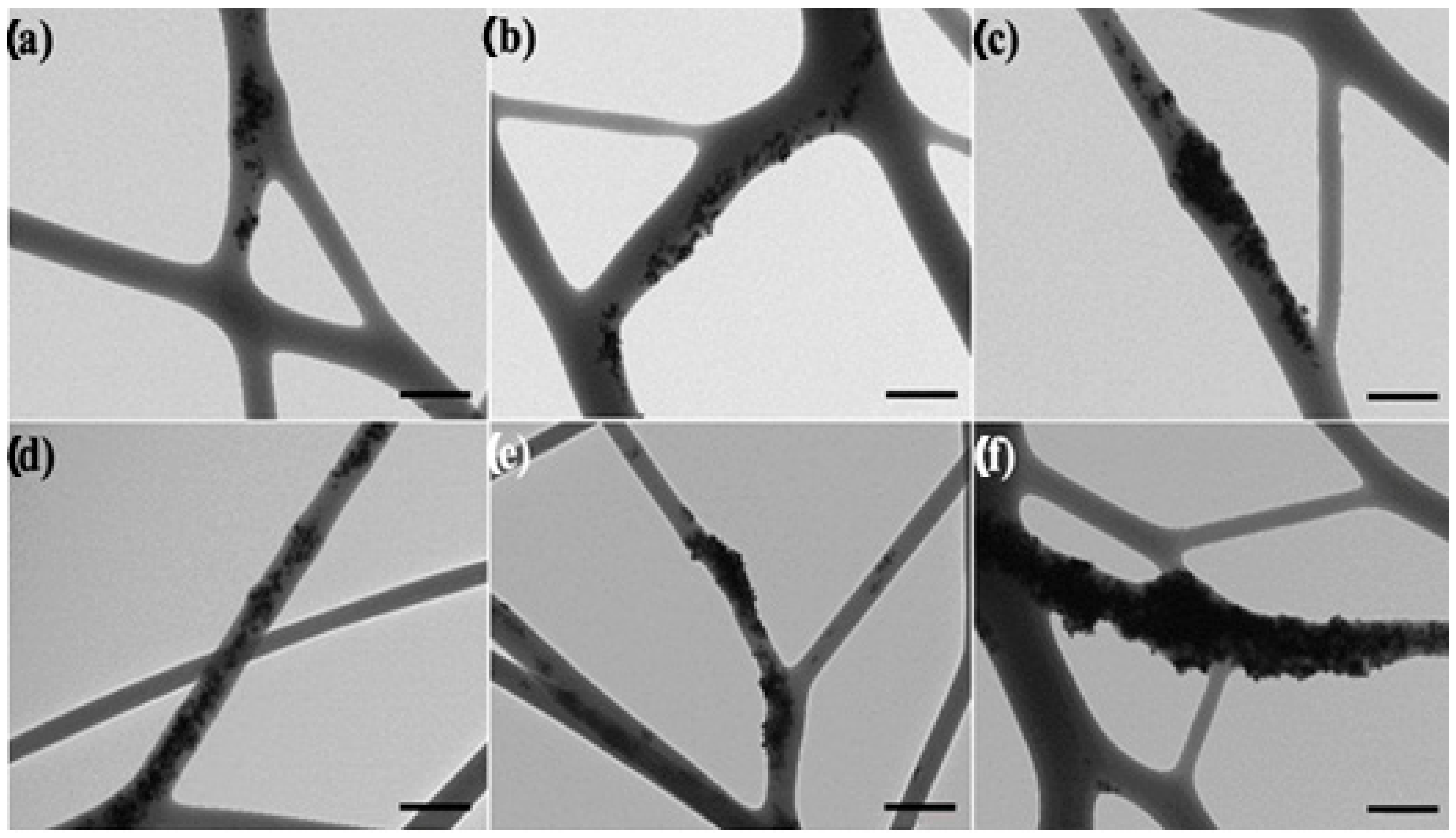 Nanomaterials 13 00823 g004 Nanomaterials 13 00823 g004