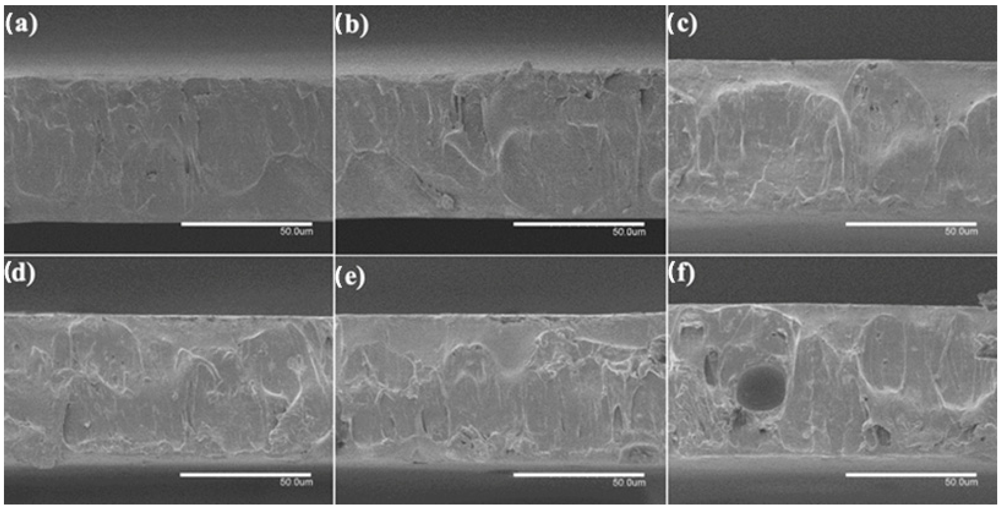 Nanomaterials 13 00823 g006 Nanomaterials 13 00823 g006