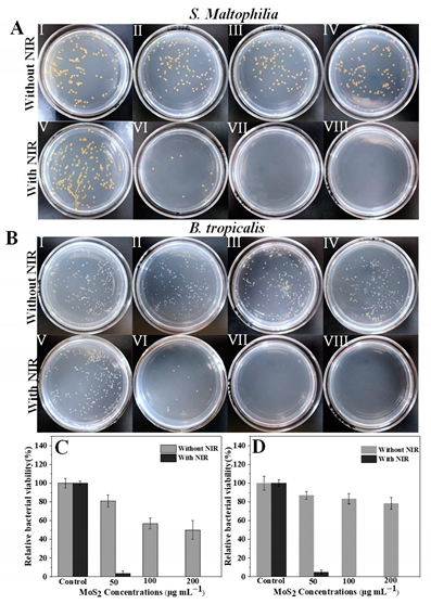 Nanomaterials 13 00824 i001