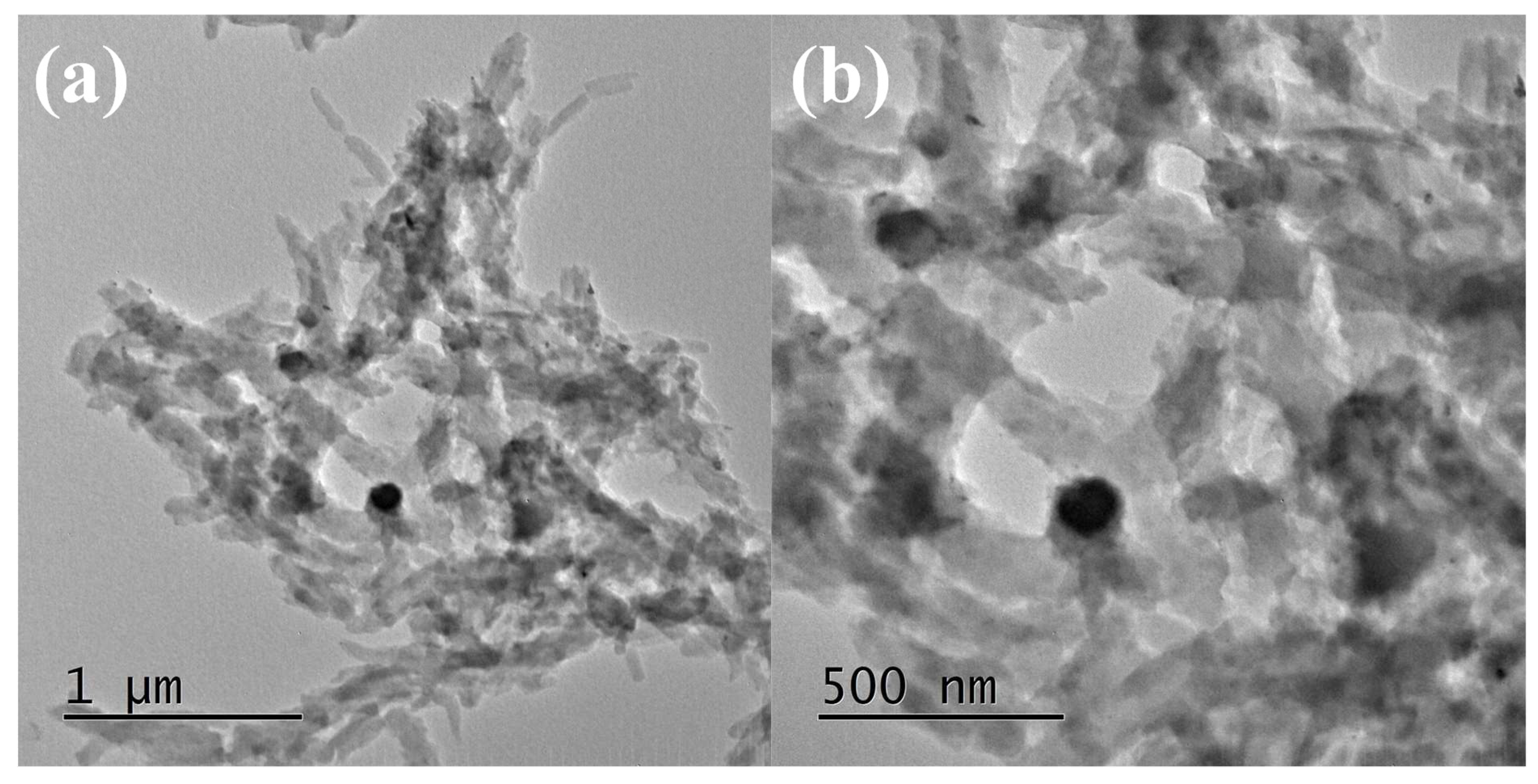 Nanomaterials 13 00828 g003 Nanomaterials 13 00828 g003