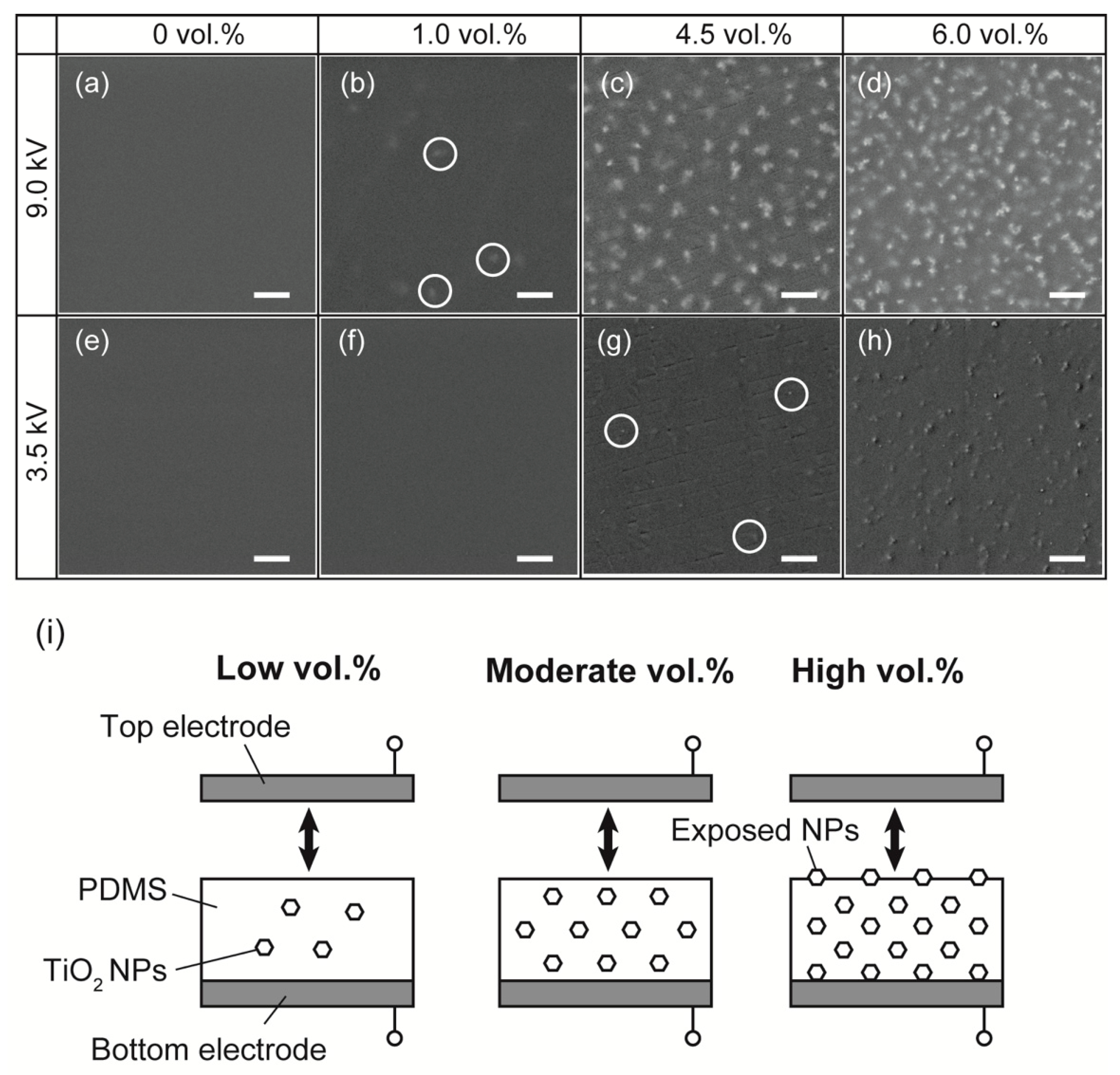 Nanomaterials 13 00832 g004 Nanomaterials 13 00832 g004