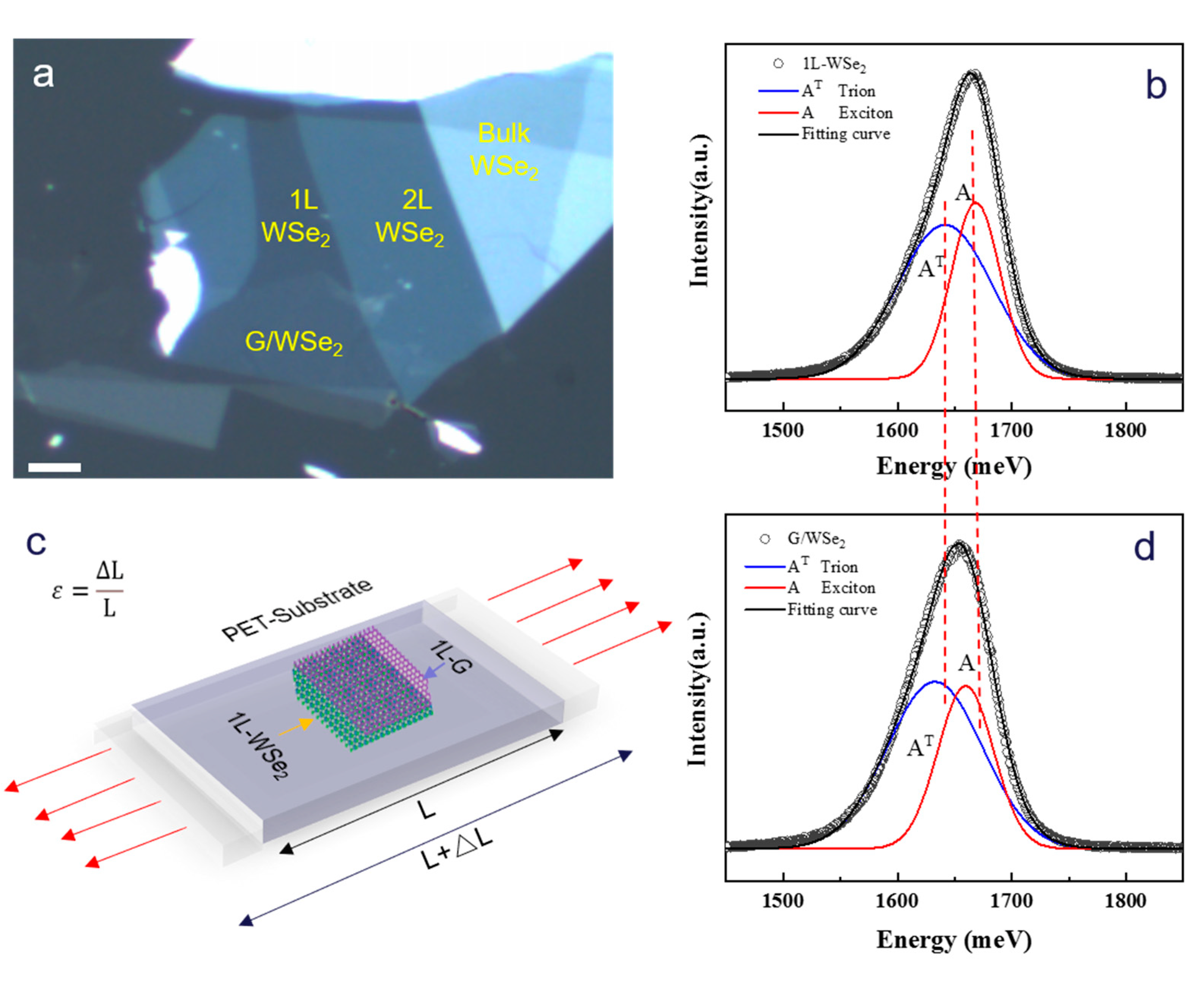 Nanomaterials 13 00833 g001