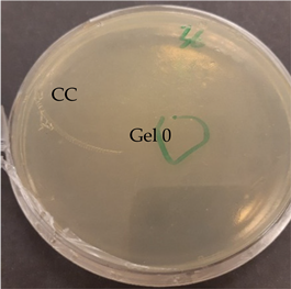 Nanomaterials 13 00844 i003