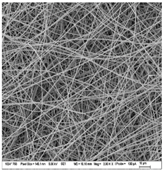 Nanomaterials 13 00844 i009