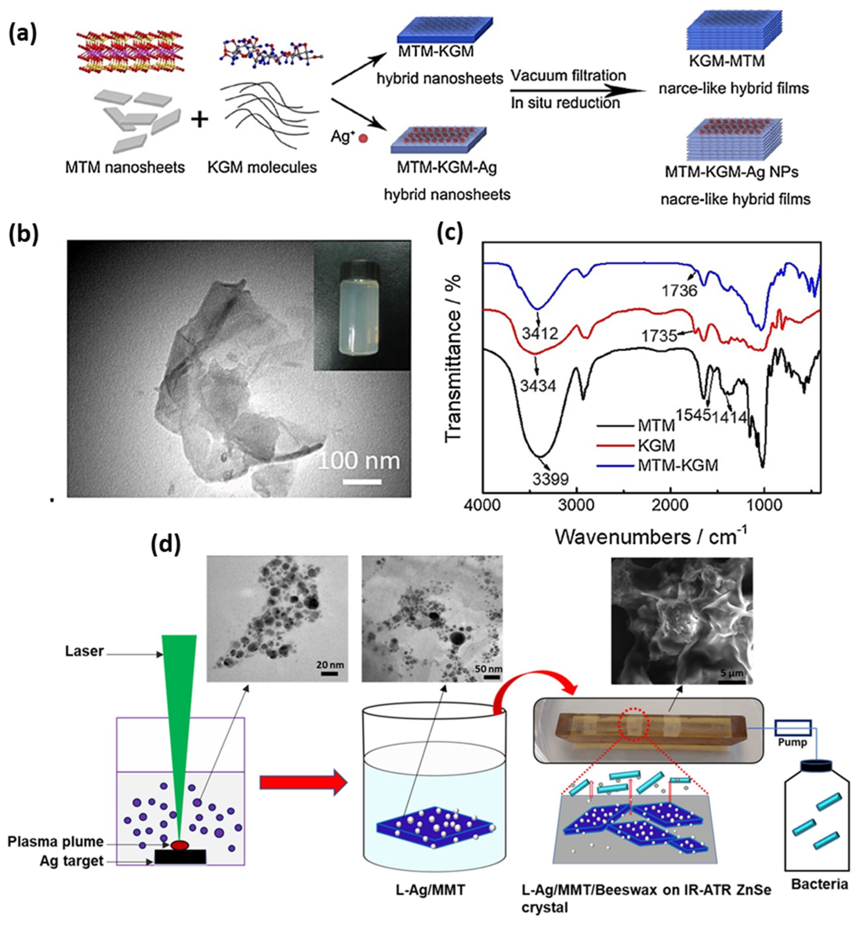 Nanomaterials 13 00848 g001