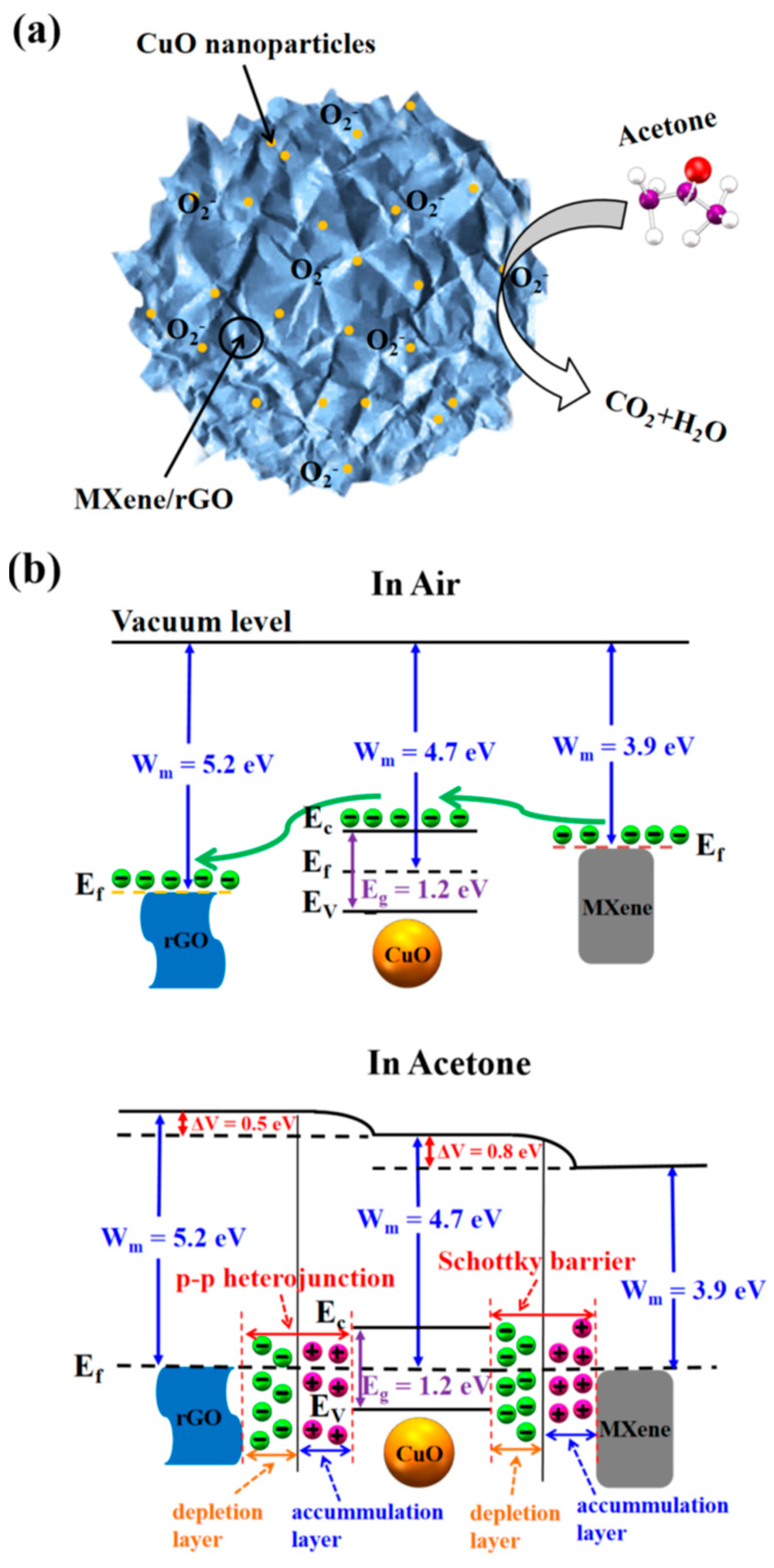Nanomaterials 13 00850 g037 Nanomaterials 13 00850 g037
