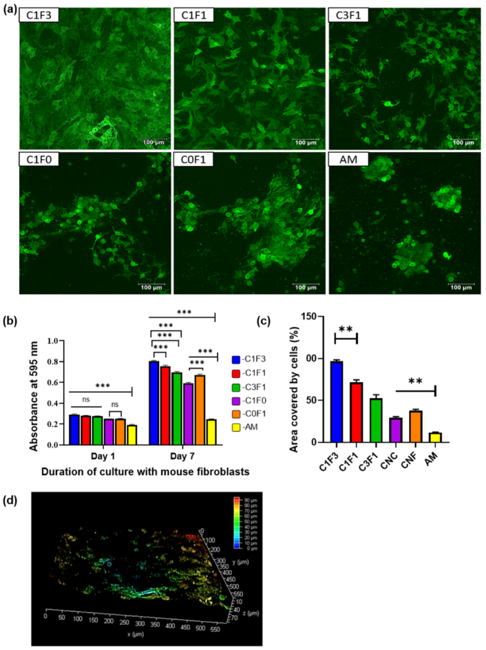 Nanomaterials 13 00853 g010 Nanomaterials 13 00853 g010