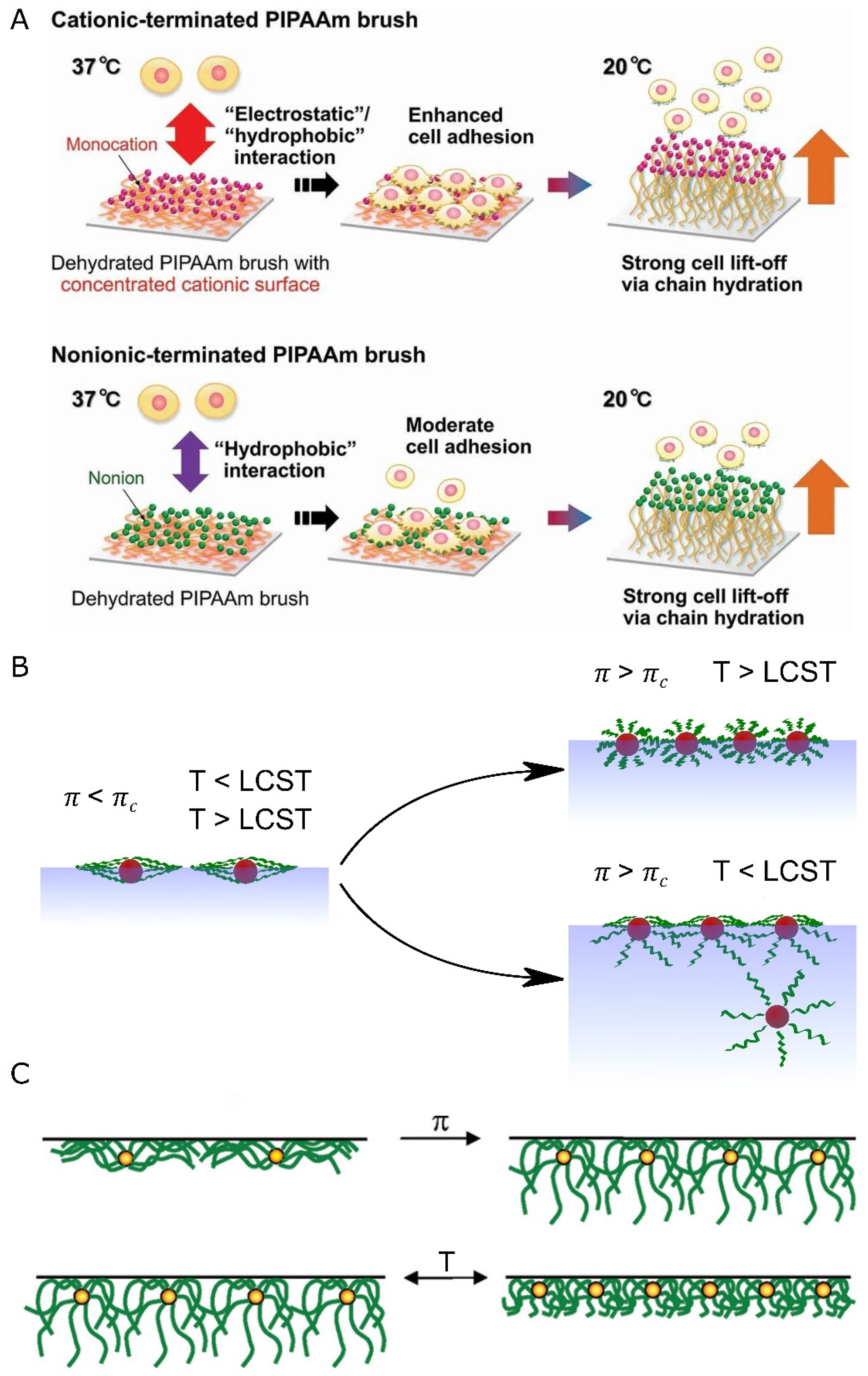 Nanomaterials 13 00855 g005 Nanomaterials 13 00855 g005