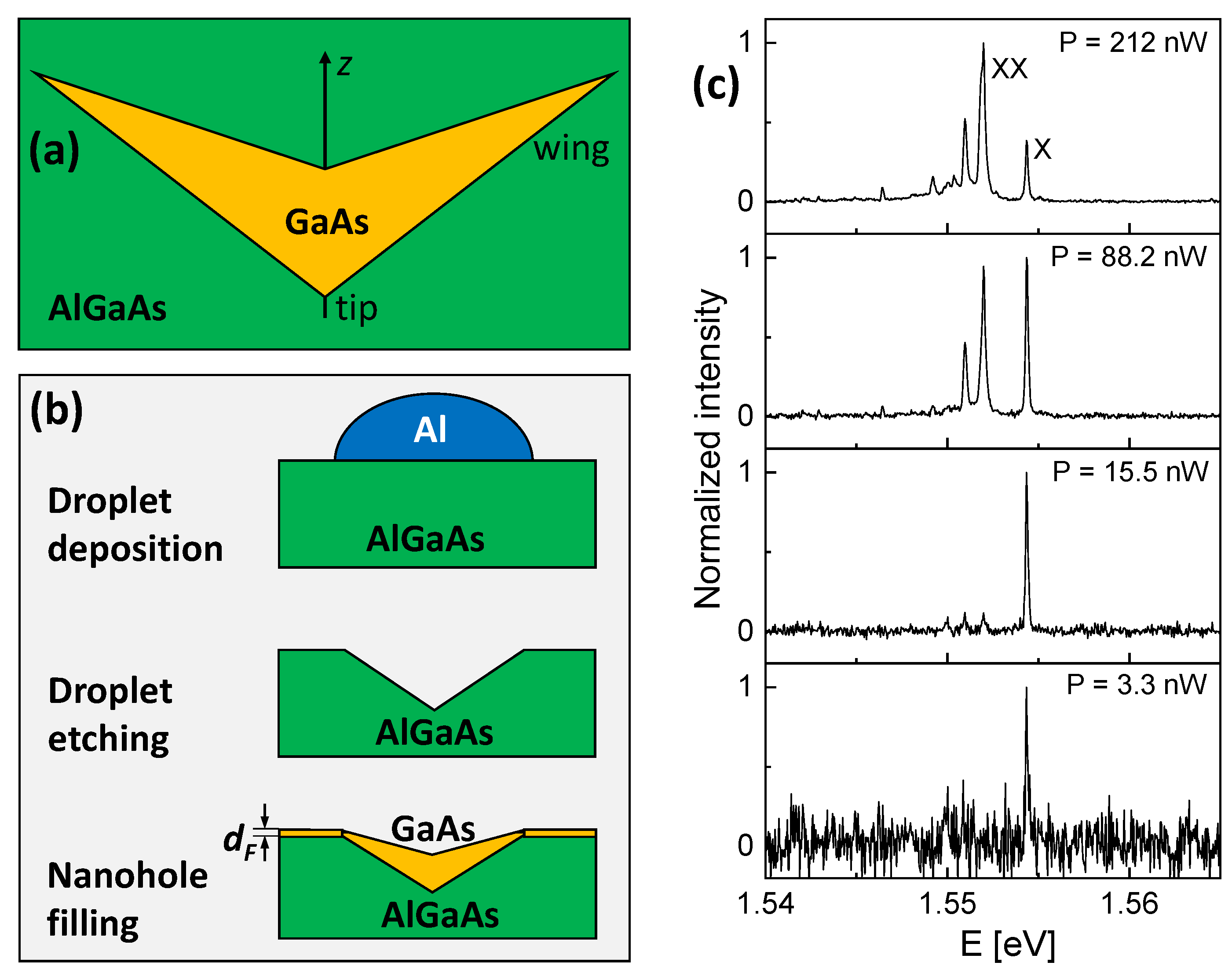 Nanomaterials 13 00857 g001