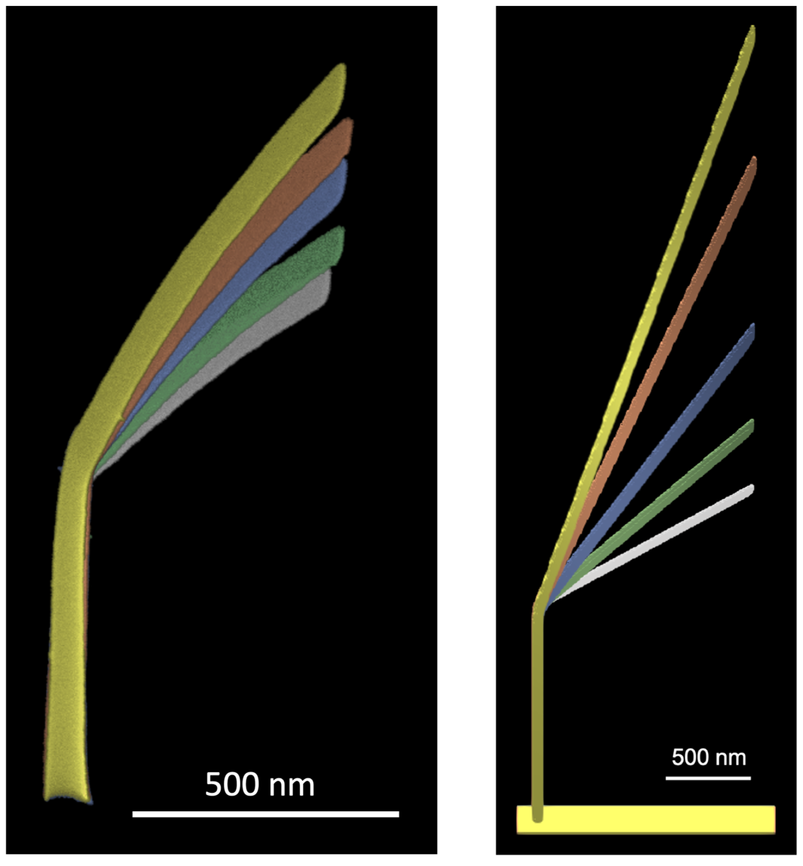 Nanomaterials 13 00858 g003
