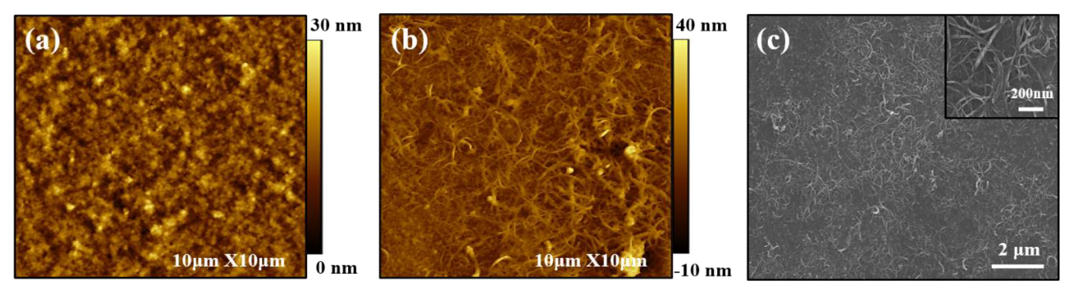 Nanomaterials 13 00866 g007 Nanomaterials 13 00866 g007