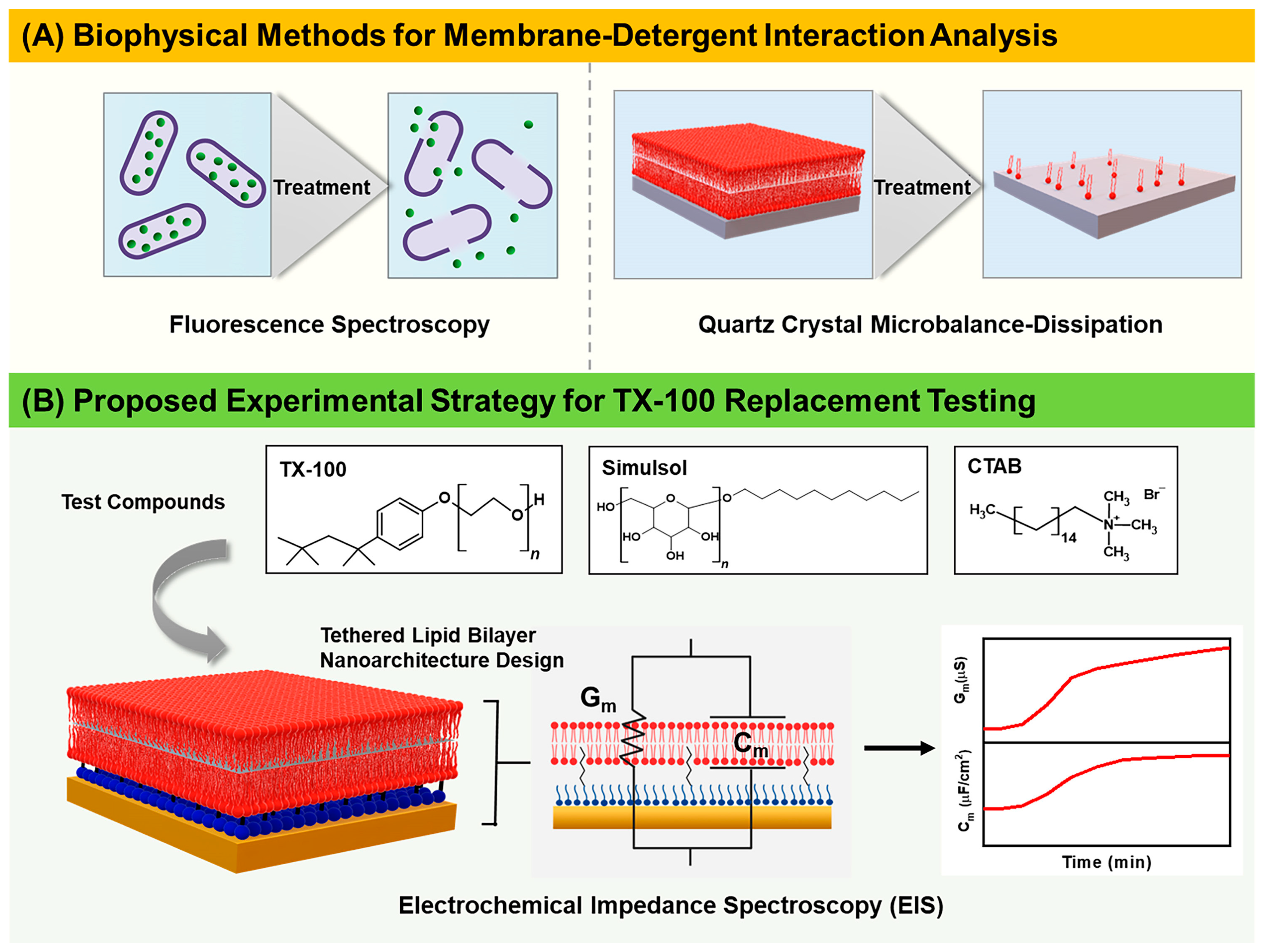 Nanomaterials 13 00874 g001