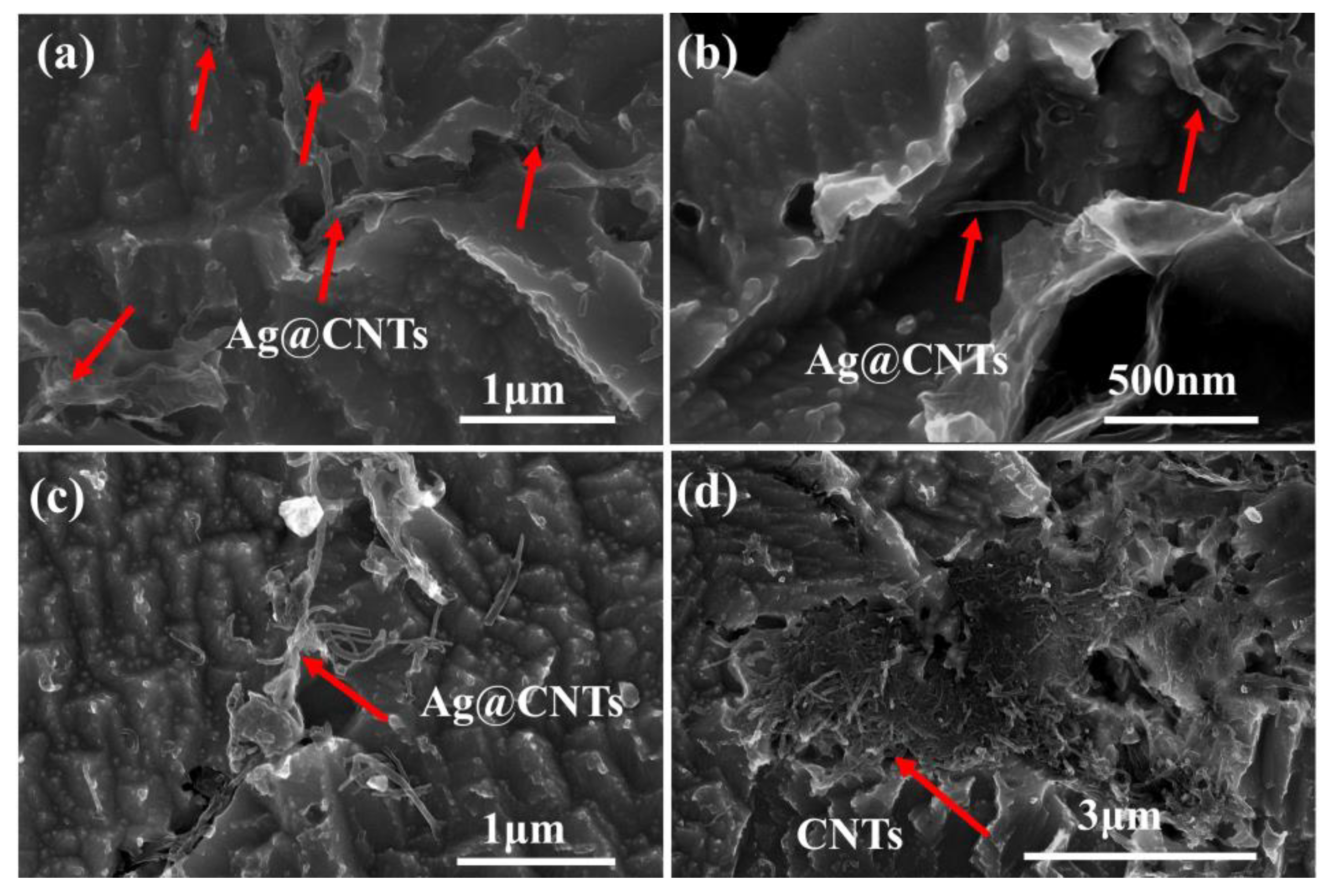 Nanomaterials 13 00887 g007 Nanomaterials 13 00887 g007